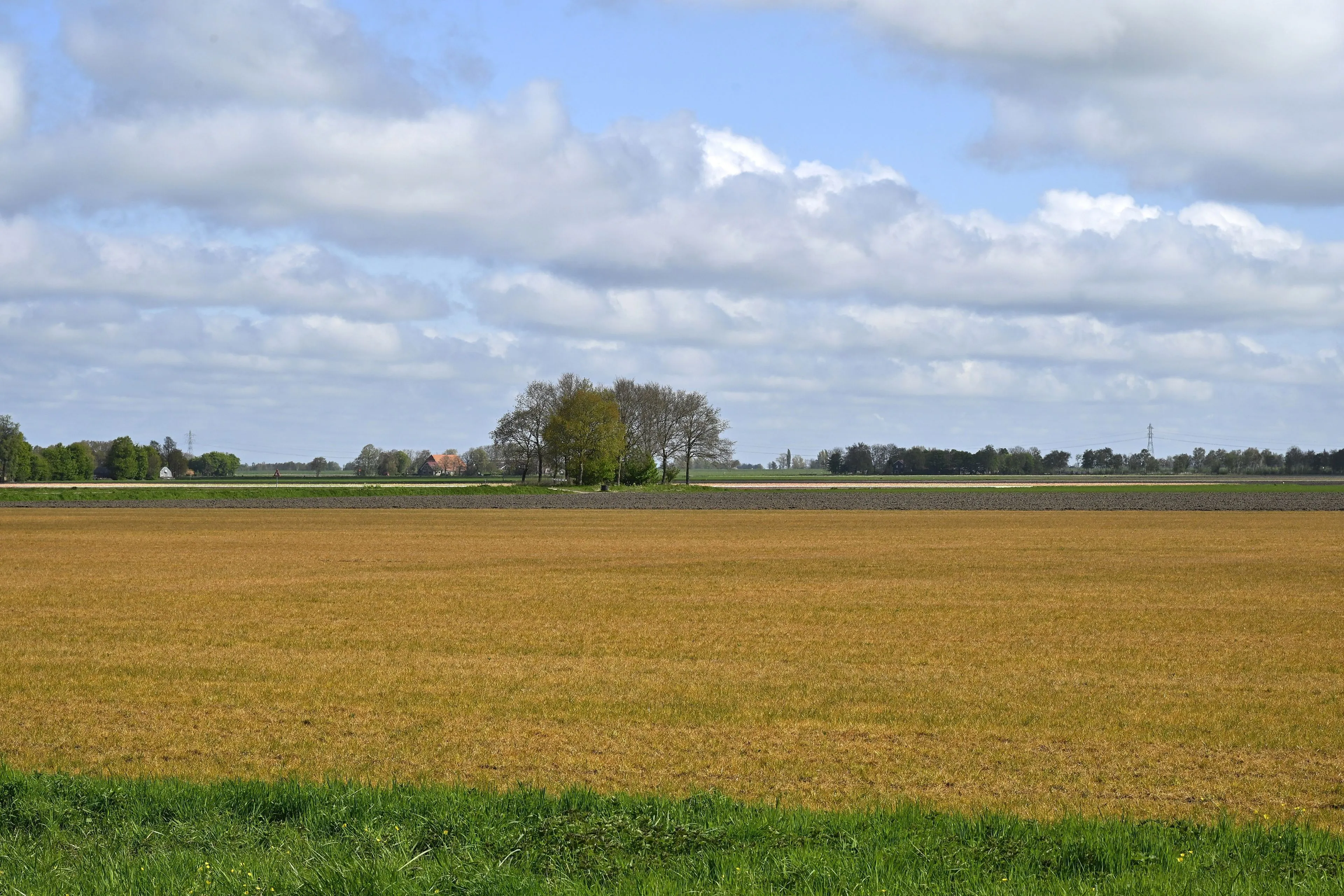 Vlaamse professor vindt dat we ons veel te druk maken over PFAS en pesticiden