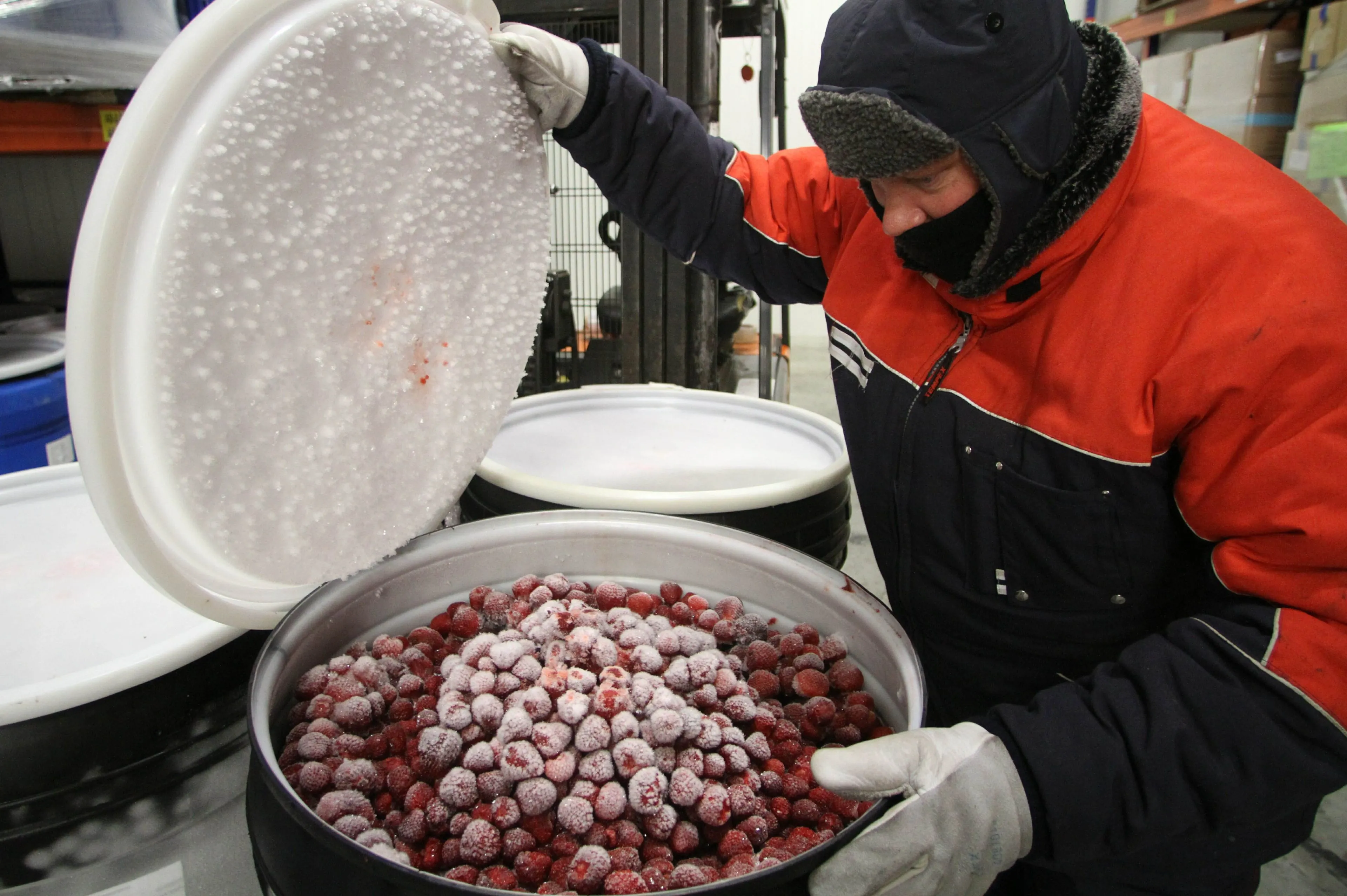 Vier redenen waarom je beter bevroren fruit kunt eten