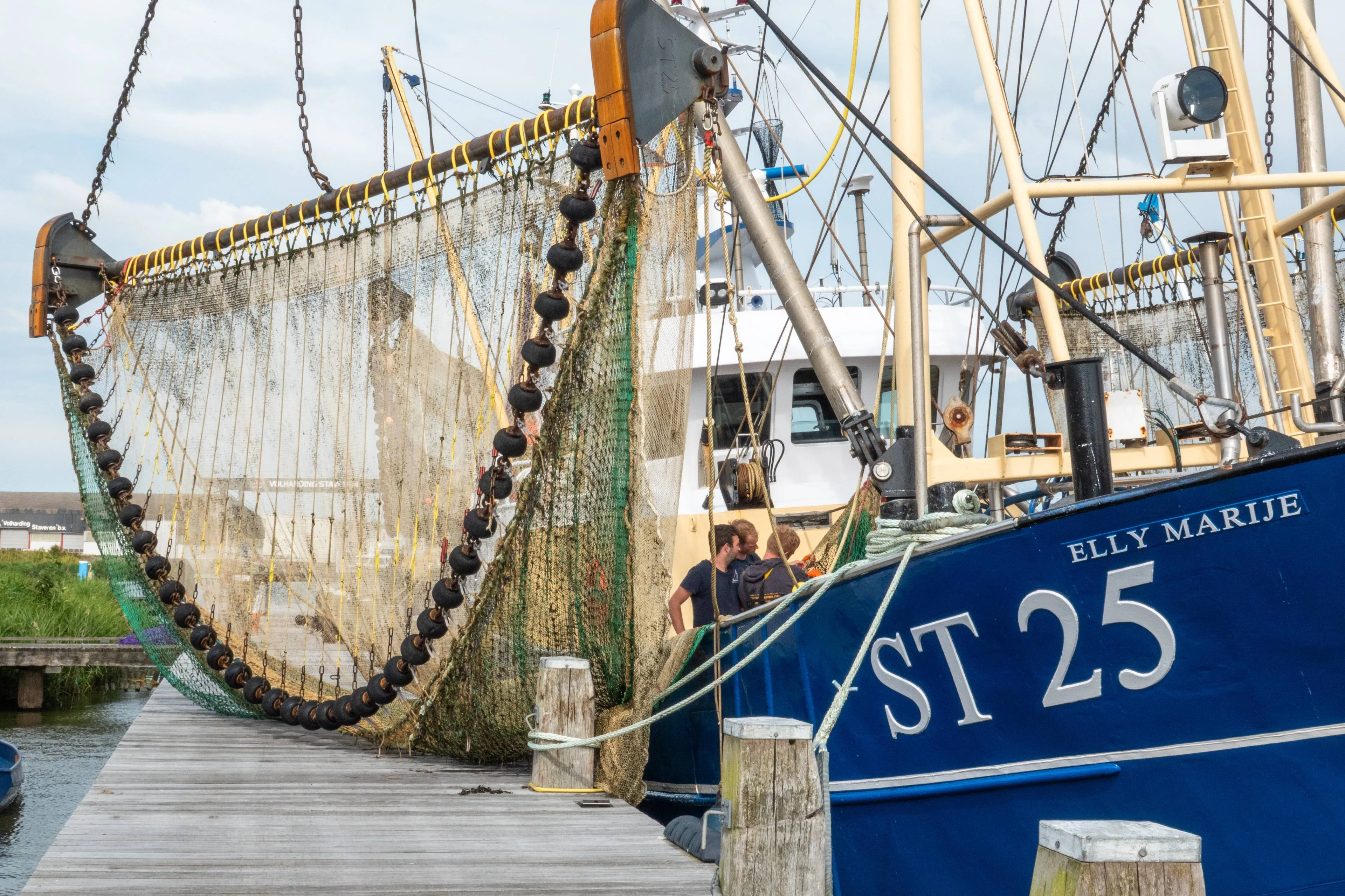 Dramatisch veel microplastics gevonden in vis en garnalen
