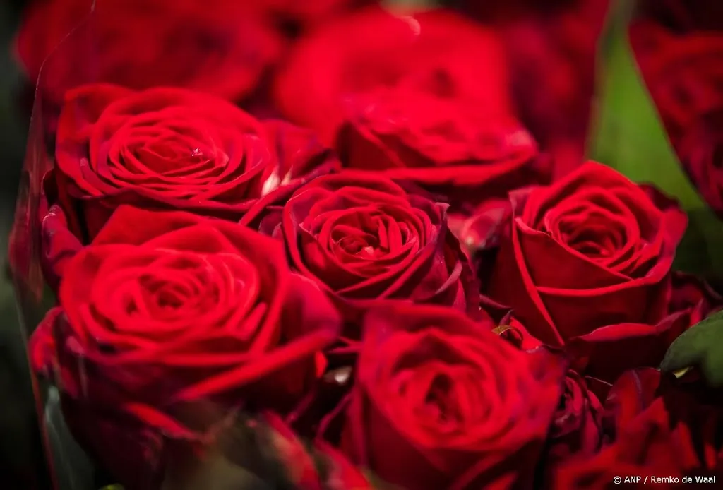 Consument wil bloemen zonder gif, maar waar koop je ze?