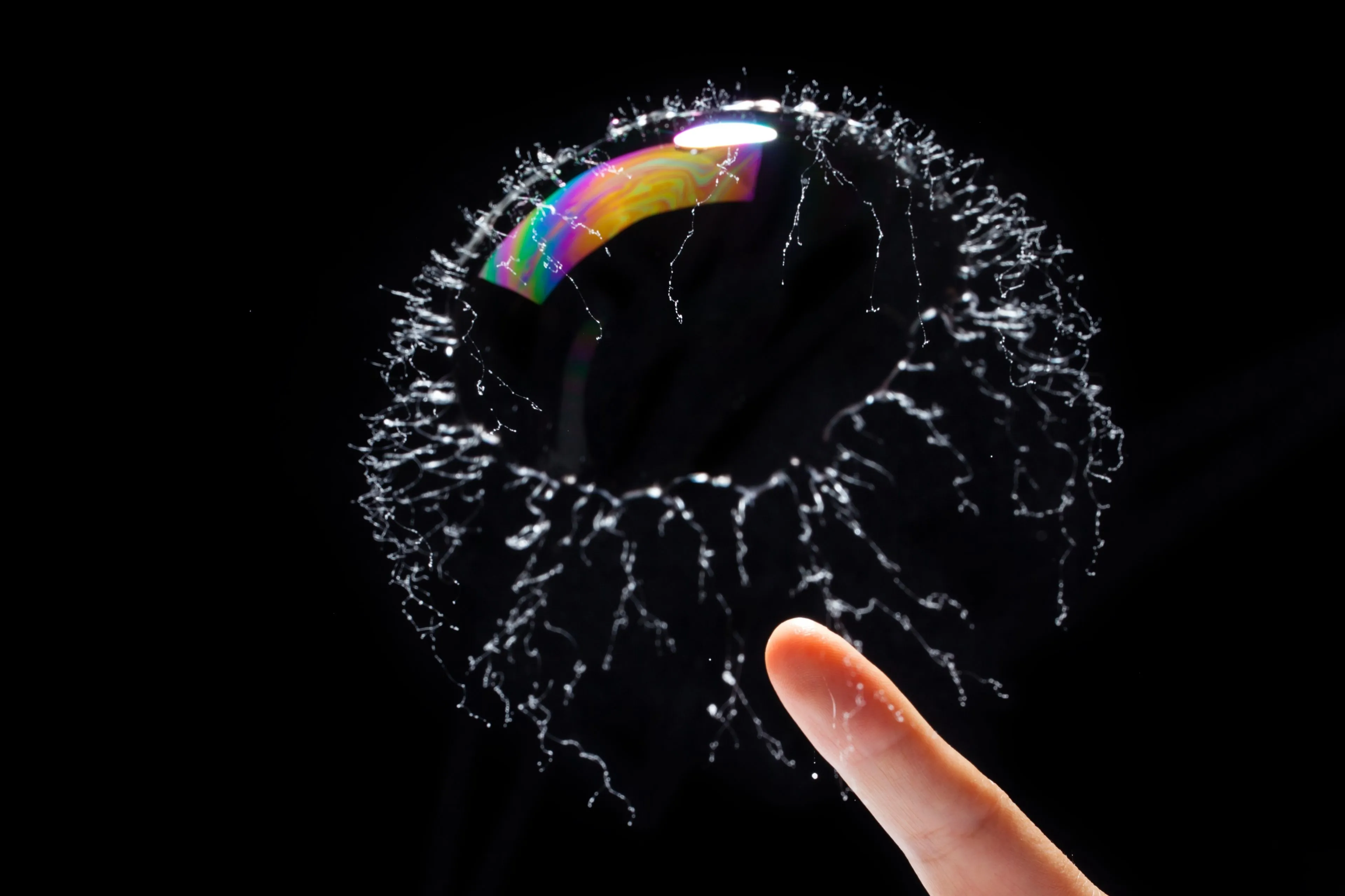 shutterstock 2080092040