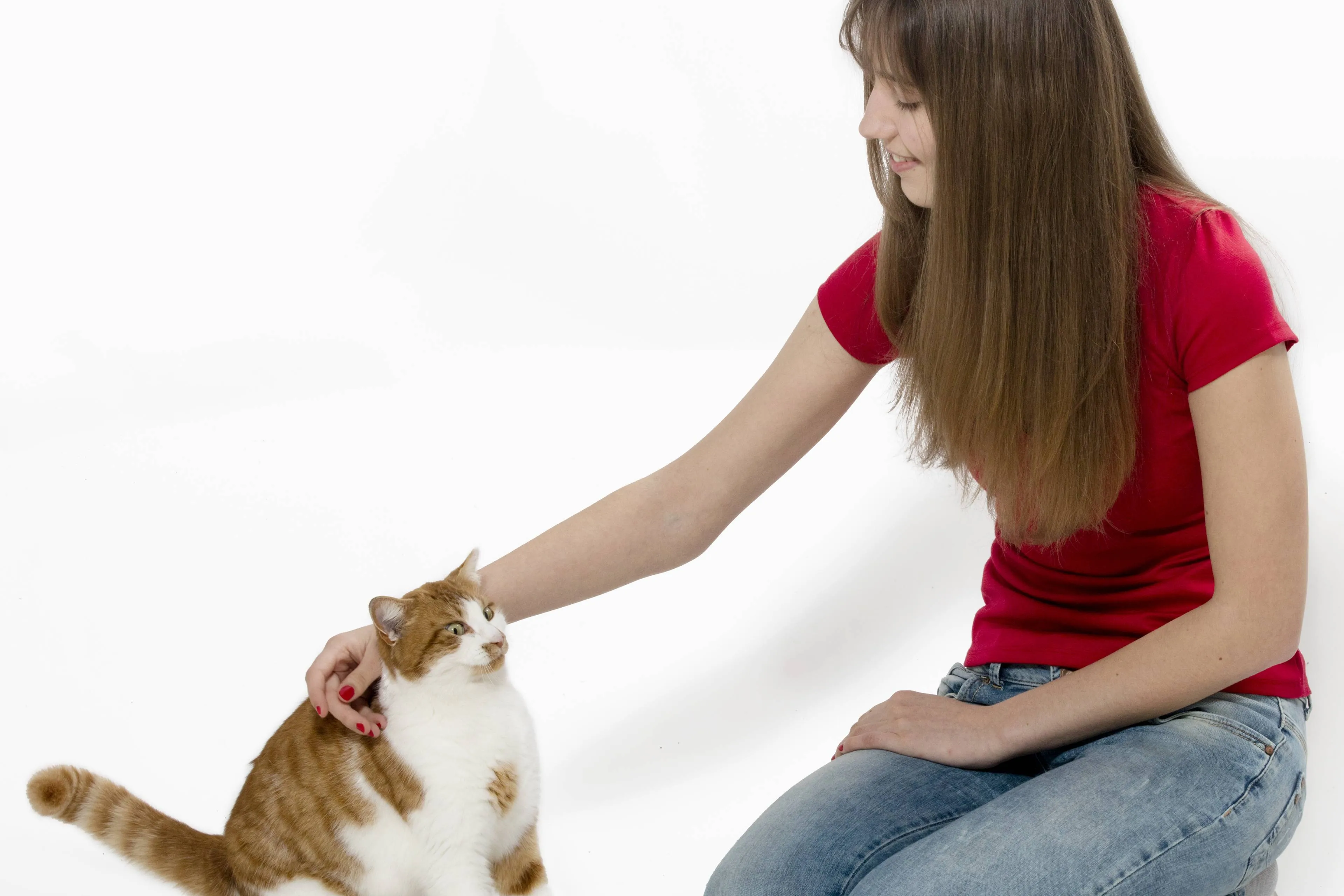 Heb jij niks met katten? Dit is waarom ze juist op jou afstappen