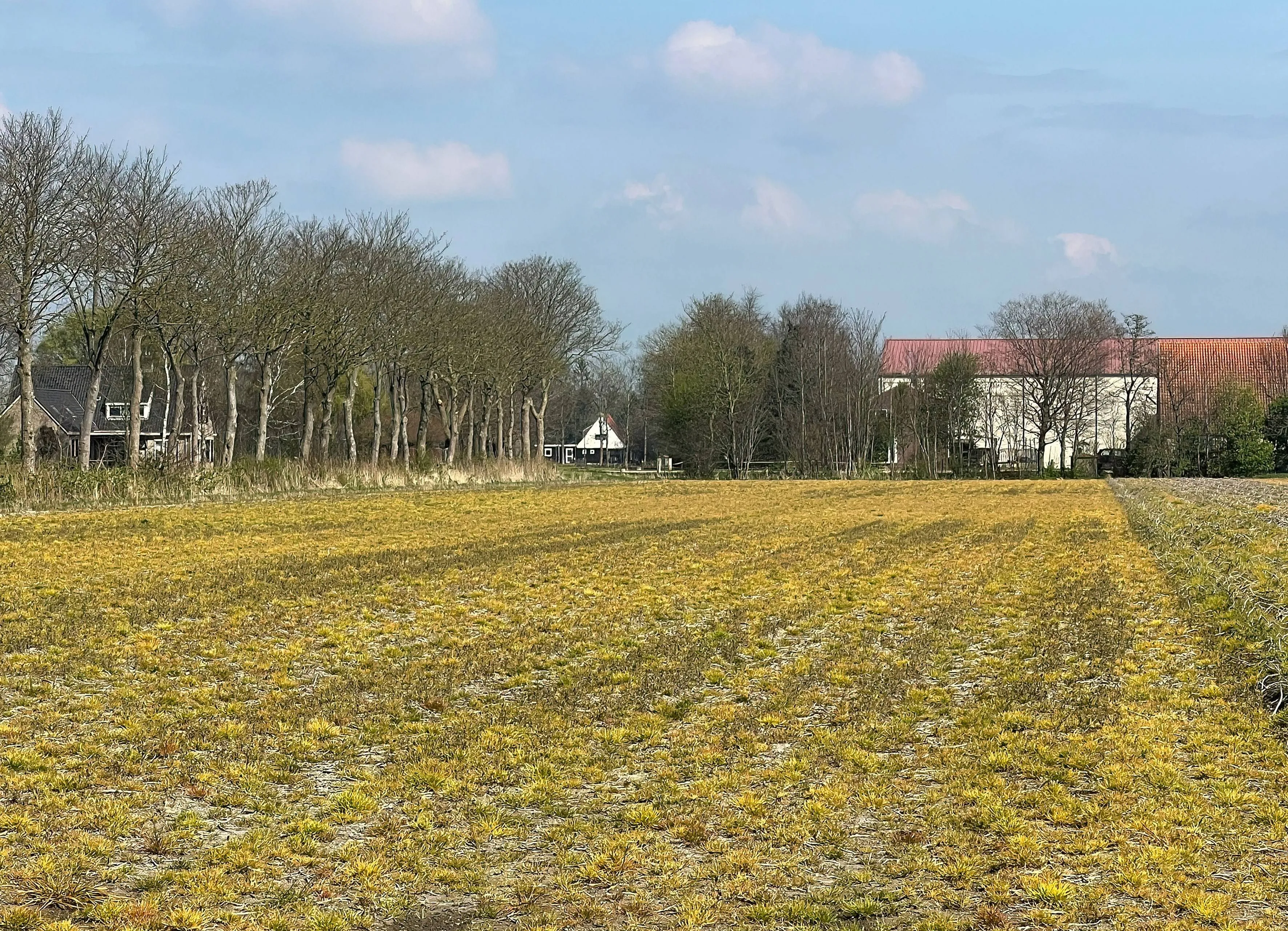 Voedingsexperts: "De kans is echt klein dat je ziek wordt van pesticiden of plastics"
