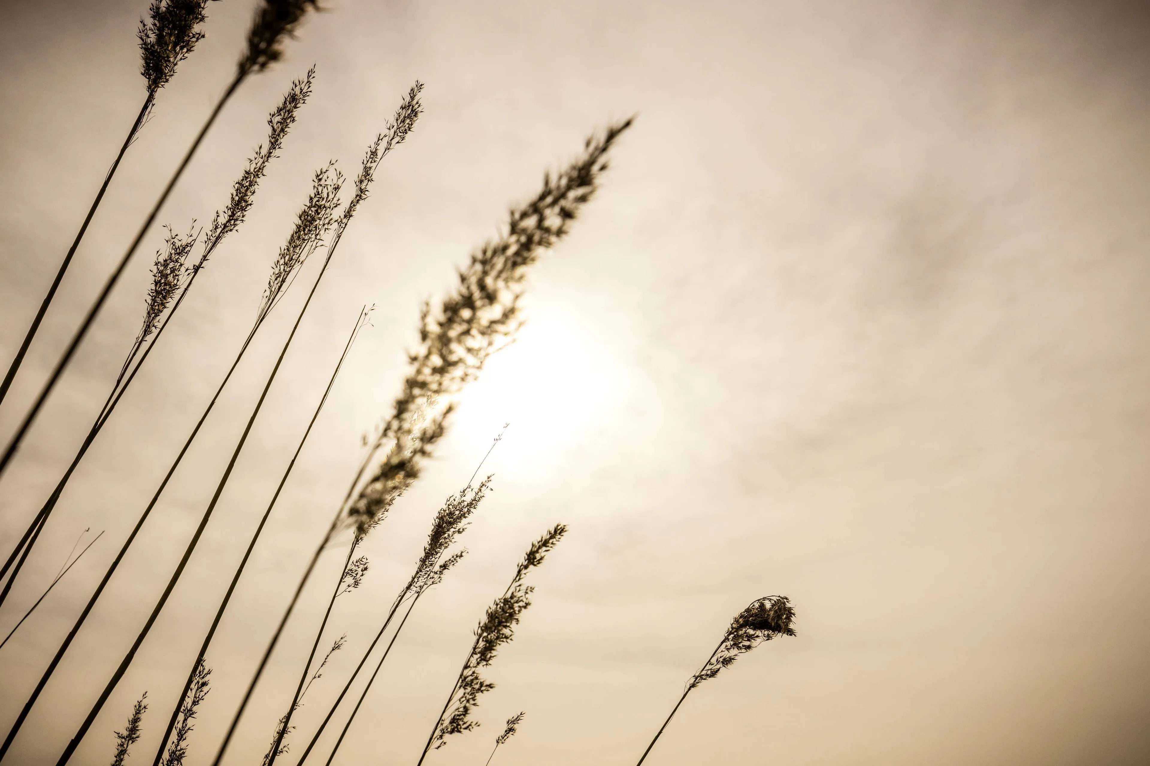 Er zit weer Saharazand in de lucht: kun je dan beter niet buiten sporten?