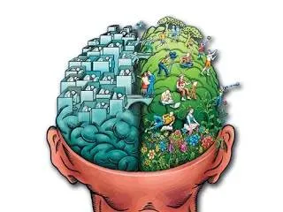 left right brain