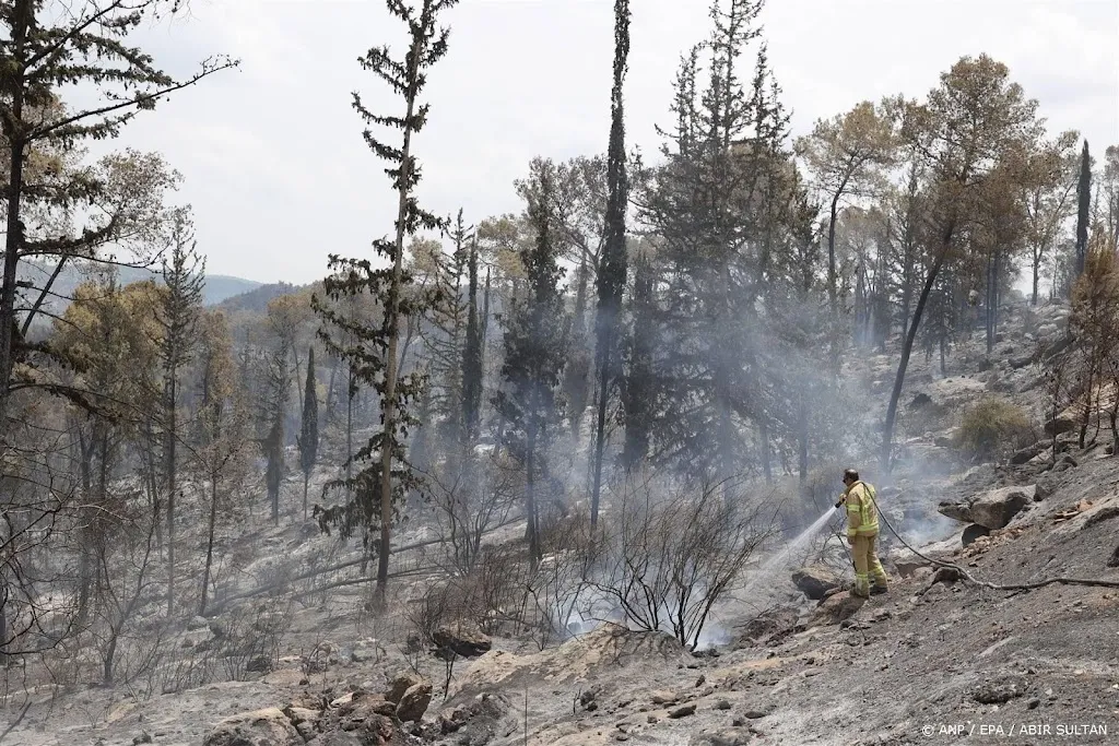 Door natuurbranden meer bossen verloren in 2024 dan ooit