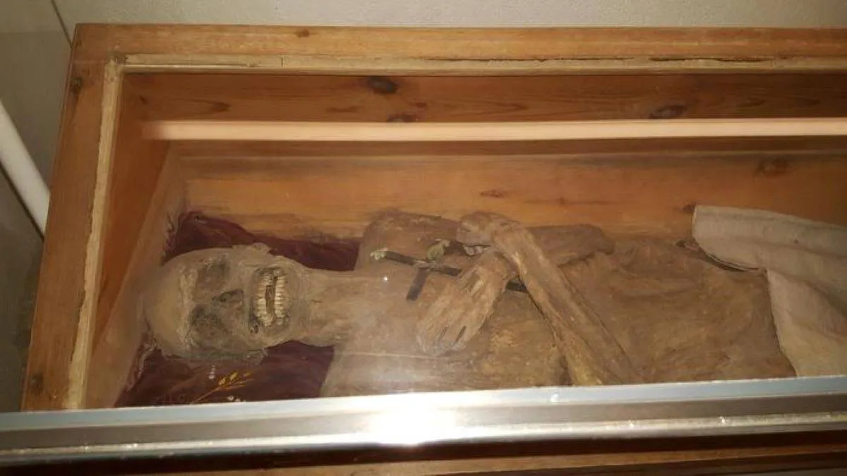 low res 1560050 figure 3a