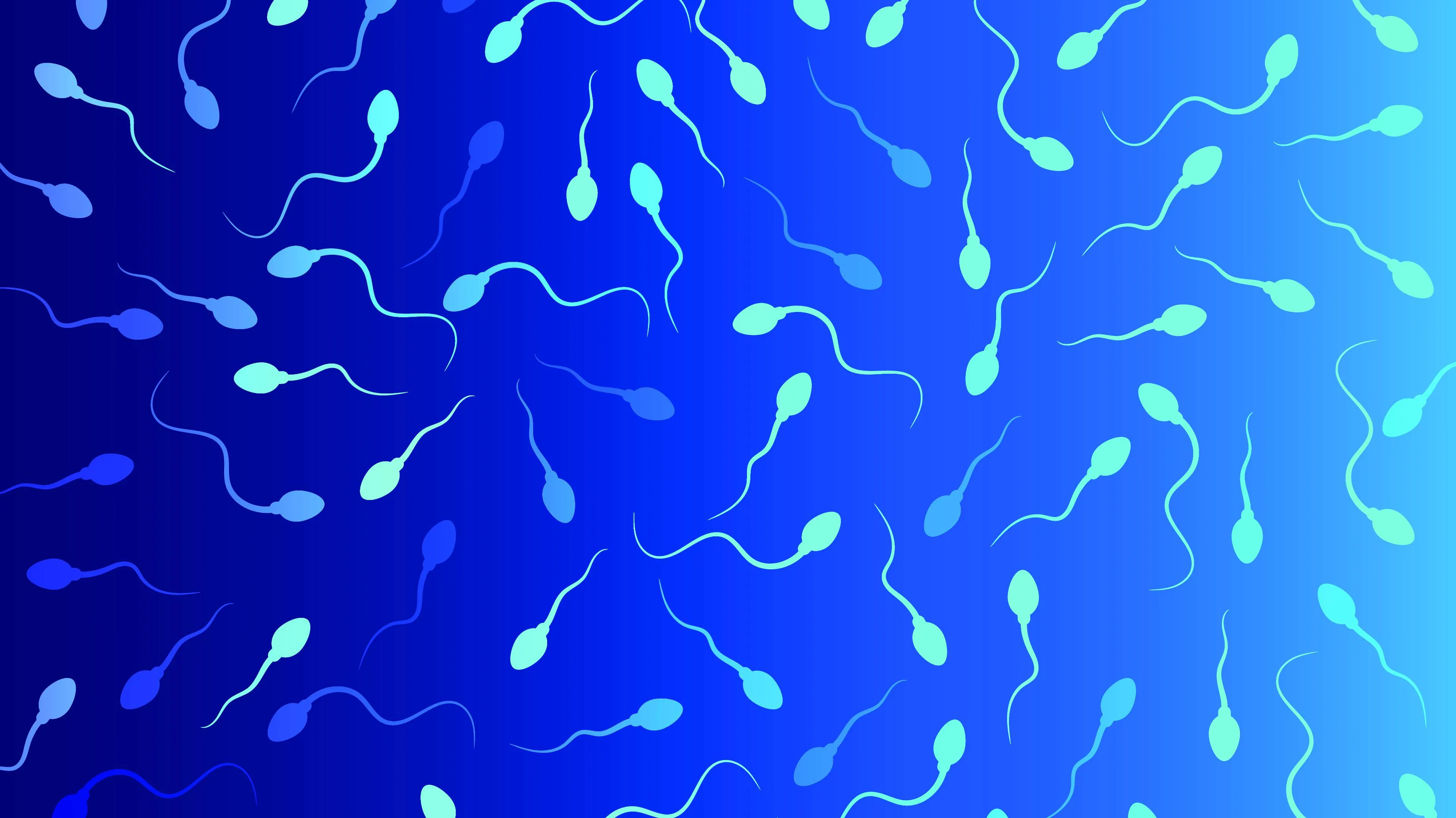 shutterstock 2344798931