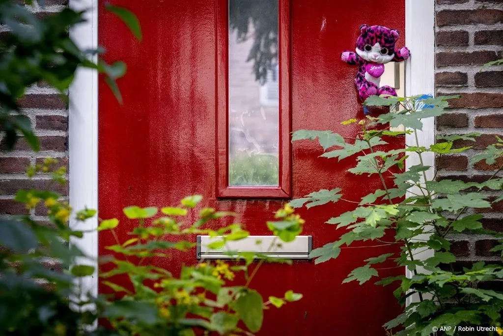 Moeder Vlaardings pleegmeisje: zorgorganisaties aansprakelijk