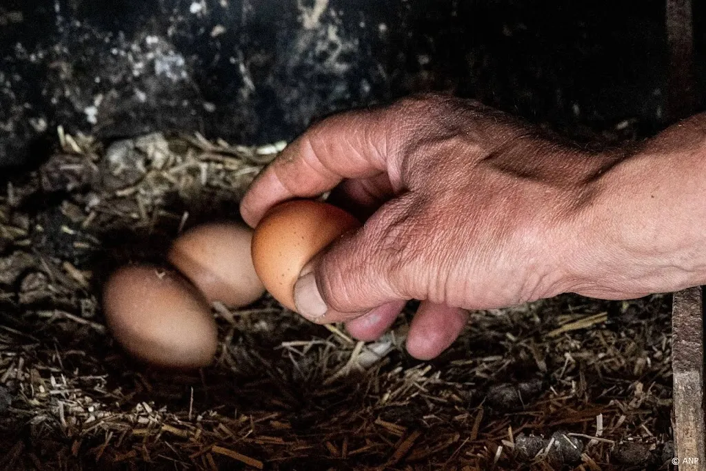 Drietal aangehouden voor smokkel van tientallen broedeieren