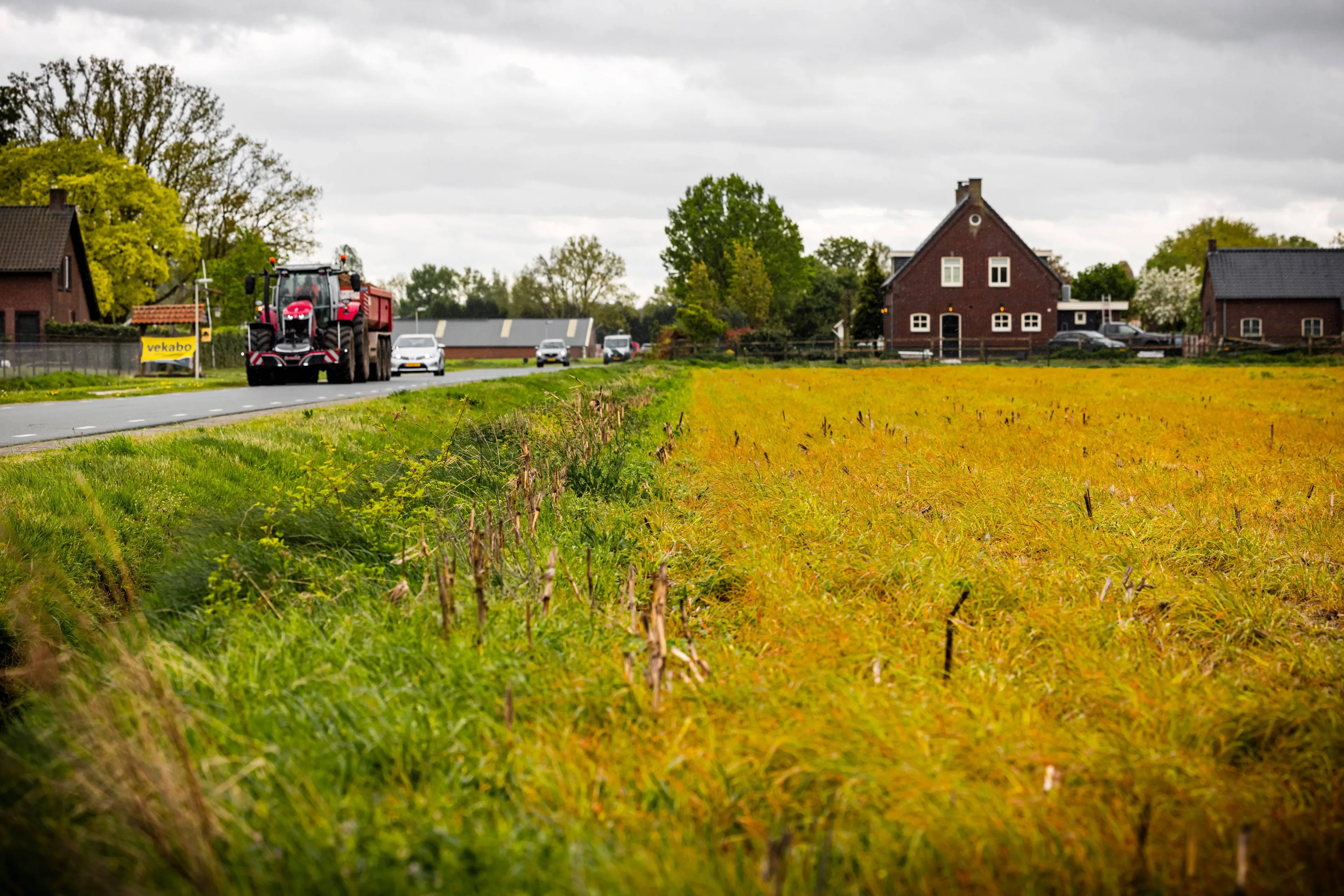 Van de regen in de drup: landbouwgif glyfosaat ingeruild voor nog schadelijker middel