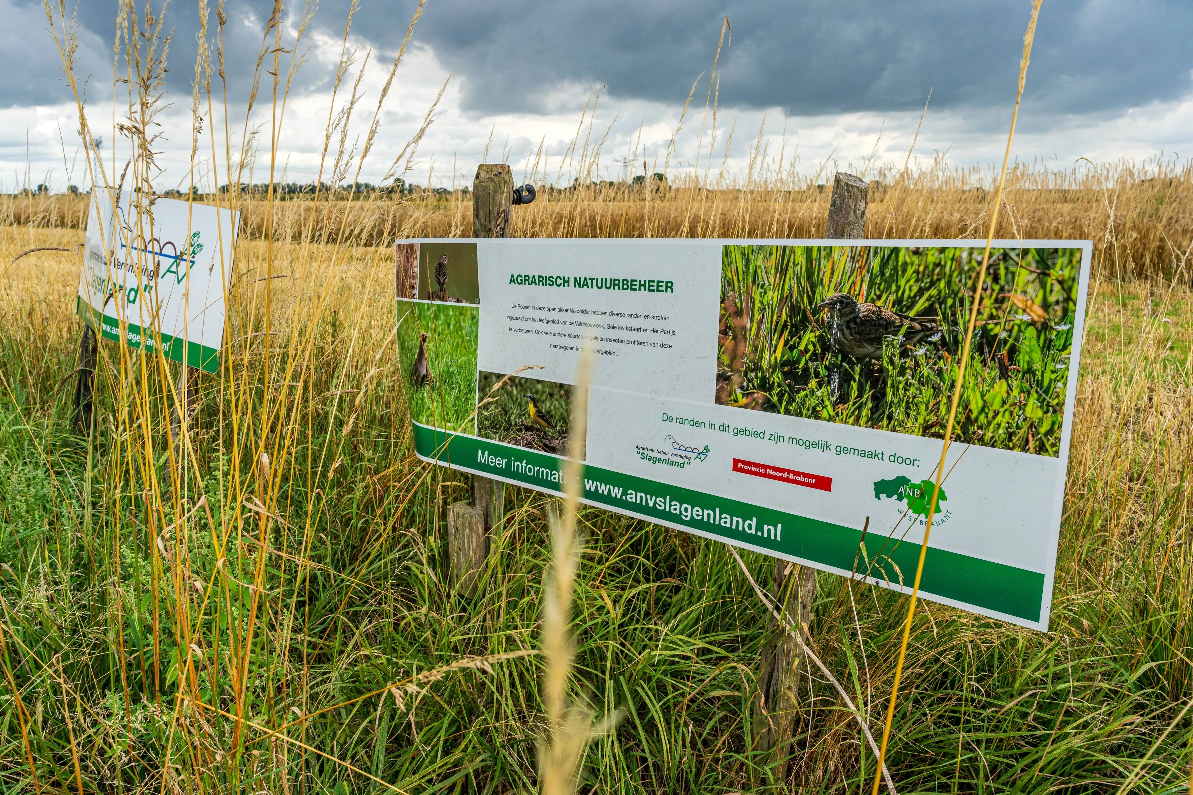 Geen plek voor biodiversiteit in Europees landbouwbudgetplan: “Verwoestend voor de natuur”