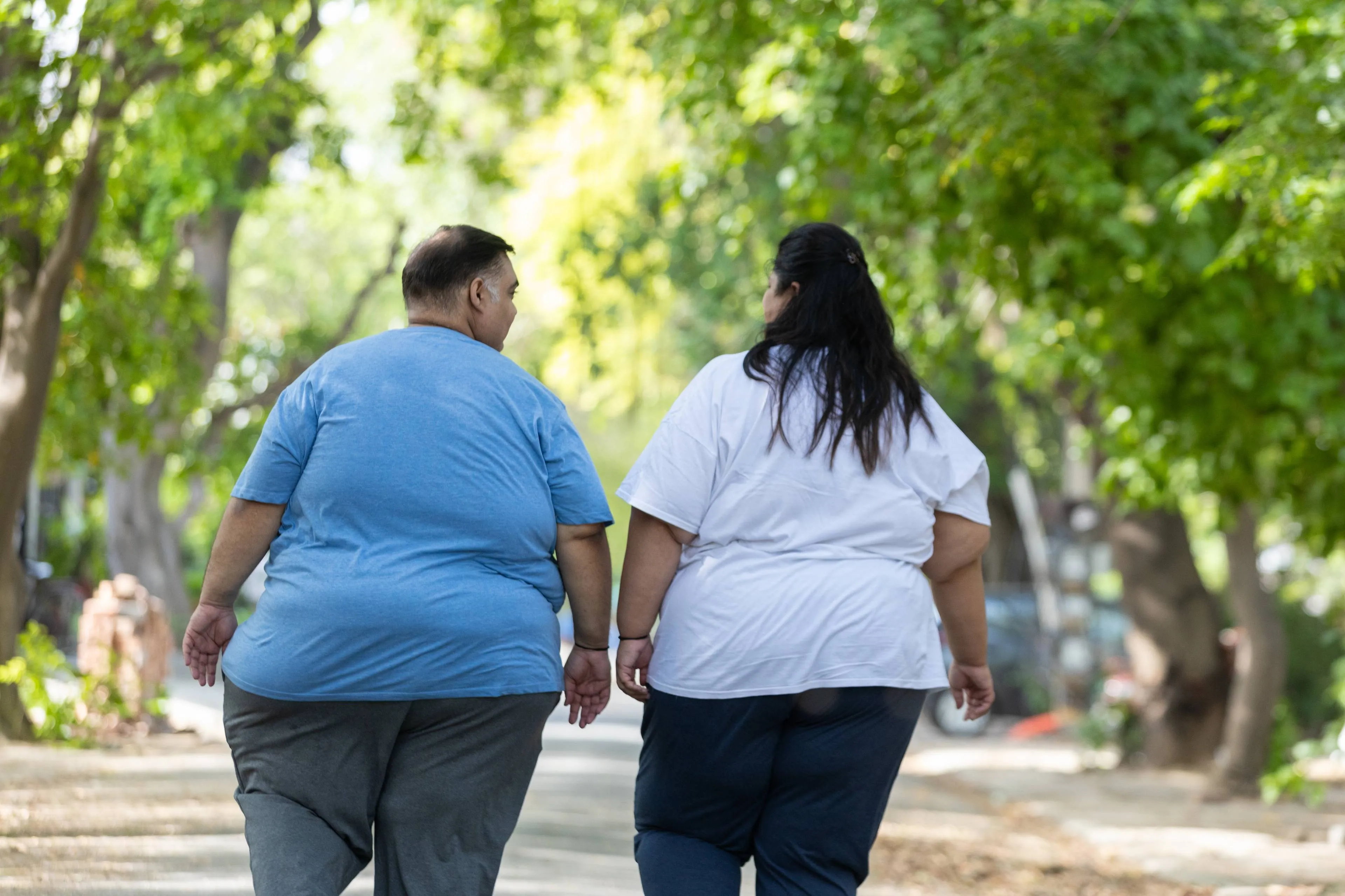 Wat veroorzaakt obesitas? Een belangrijk nieuw onderzoek zegt: We worden niet dik omdat we te weinig bewegen