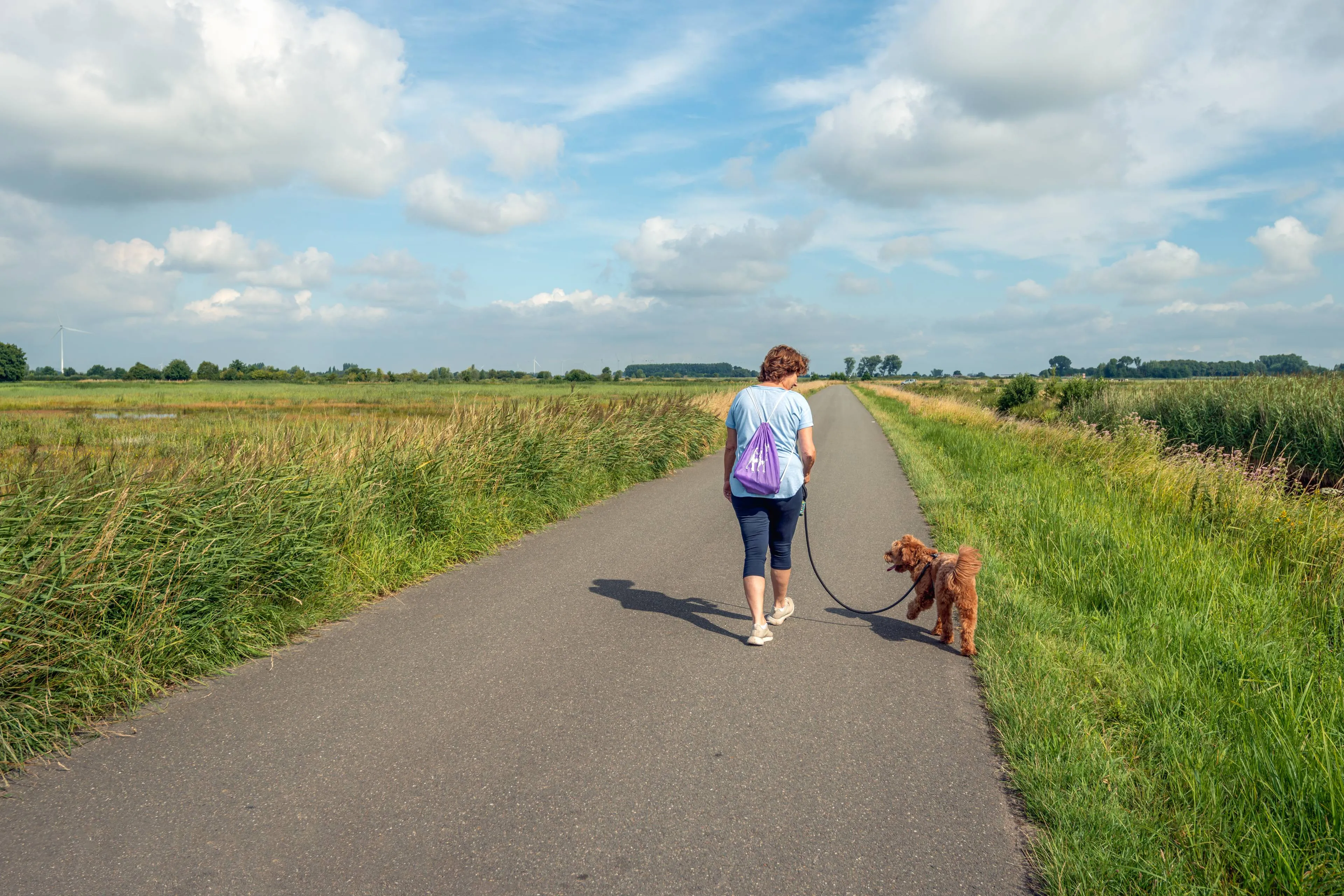 Zone zero: de verrassende gezondheidsvoordelen van bijna niet sporten