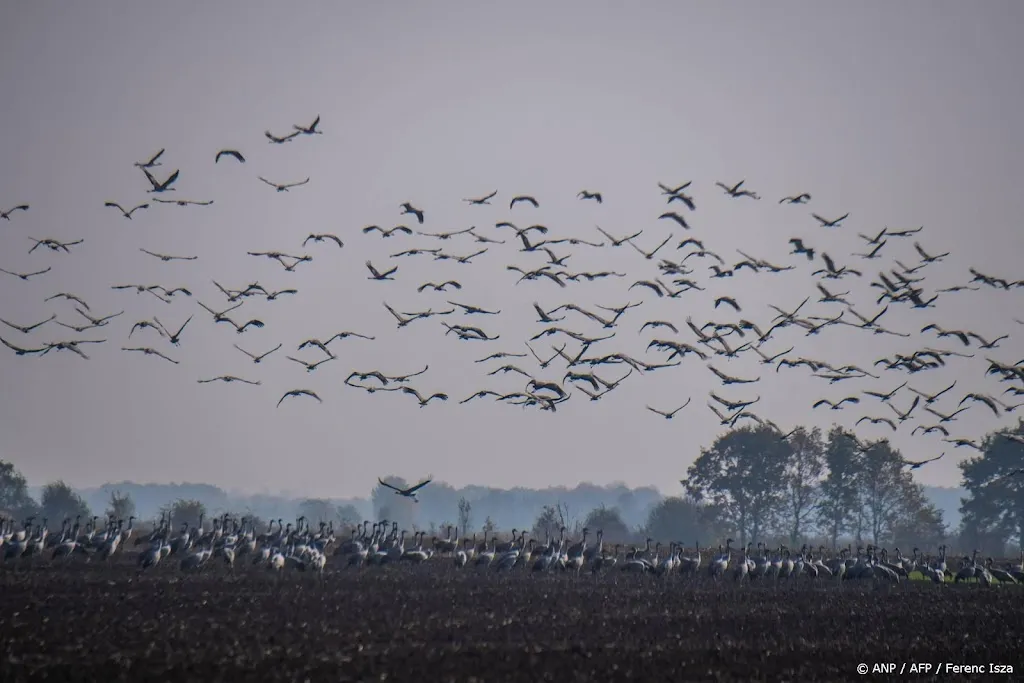 Vogels passen trek aan op vroege lente, maar daar zit grens aan
