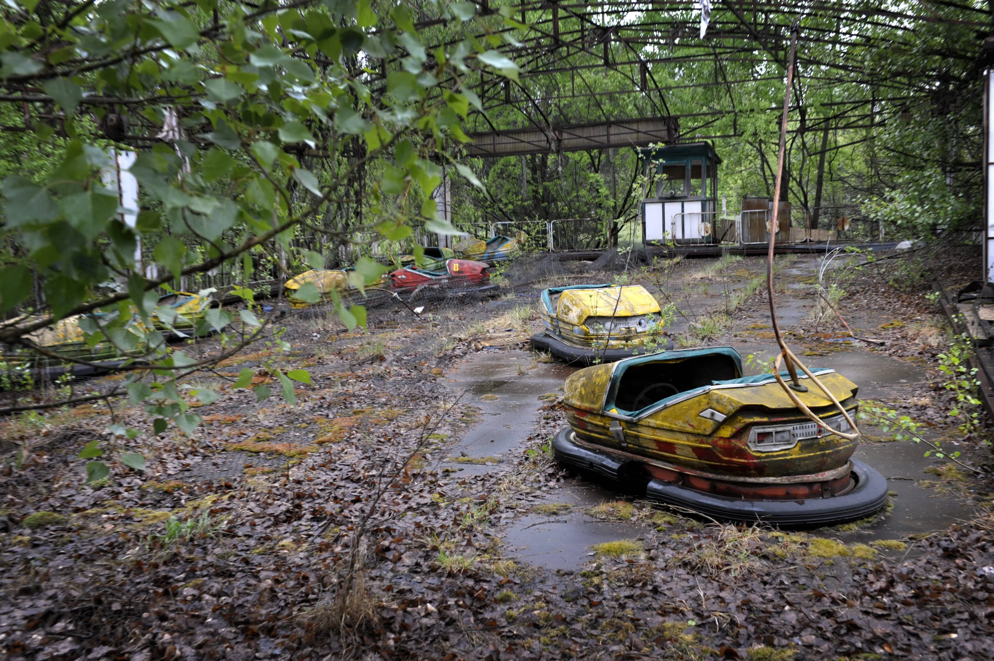 Honden in Tsjernobyl hebben een blauwe vacht