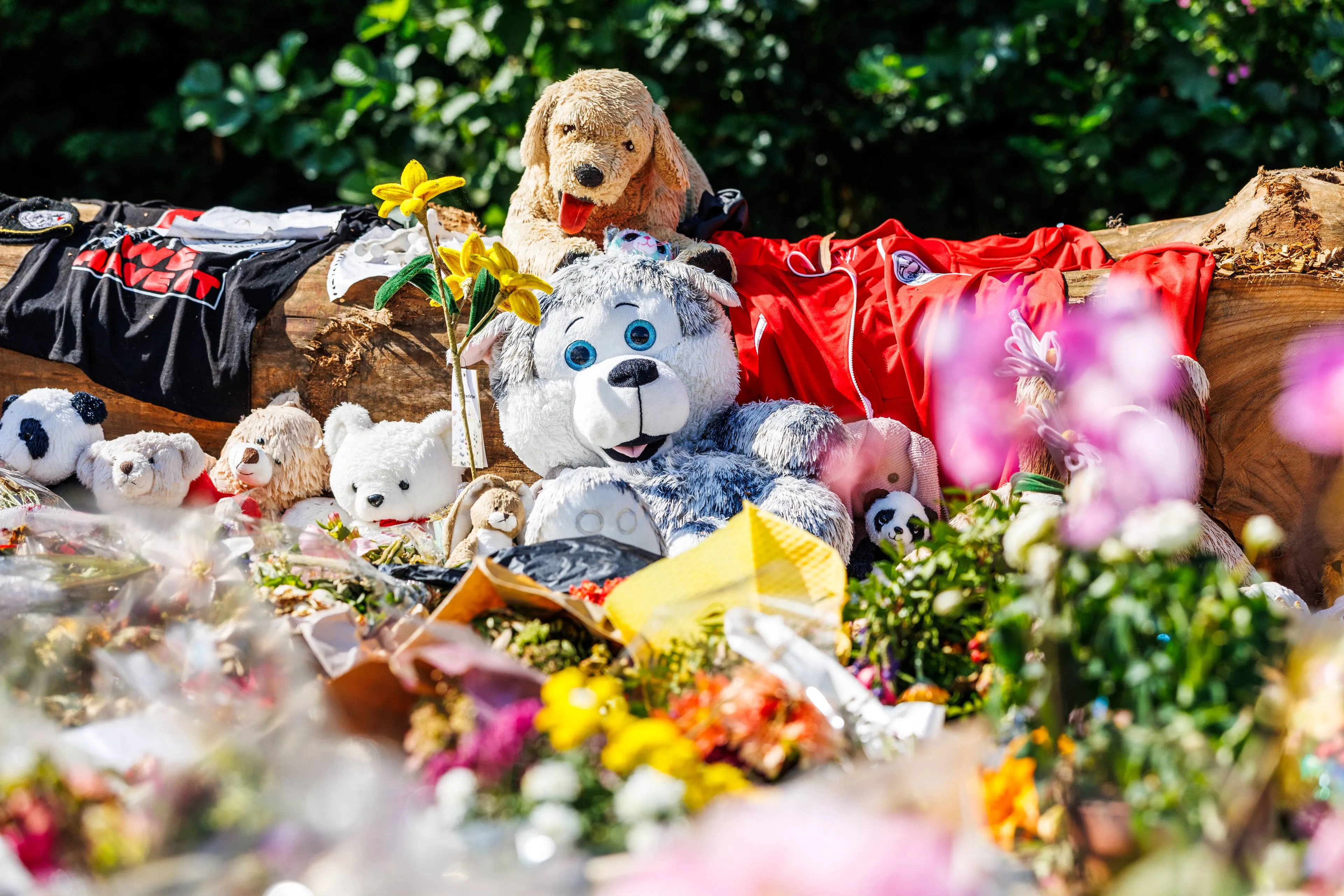 Identiteit verdachte van moord op Lisa staat nog niet vast