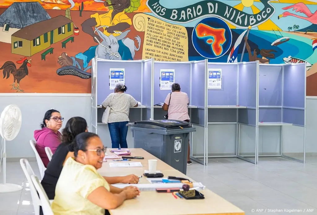 Site Stem op een Vrouw rond verkiezingen op zwart na ddos-aanval