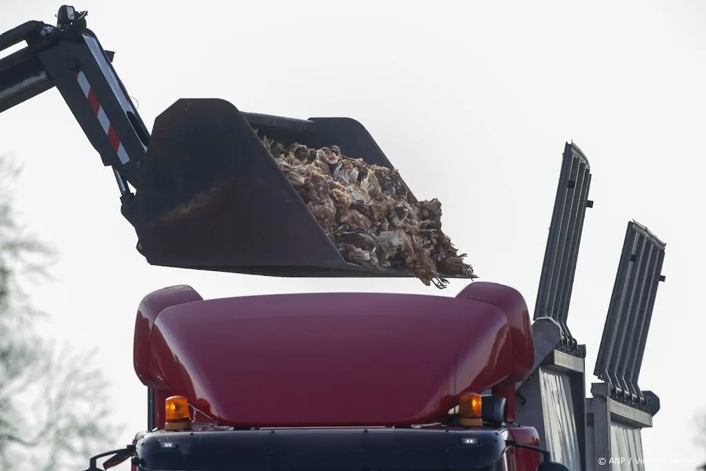 Ook vogelgriep aangetroffen in Swifterbant 