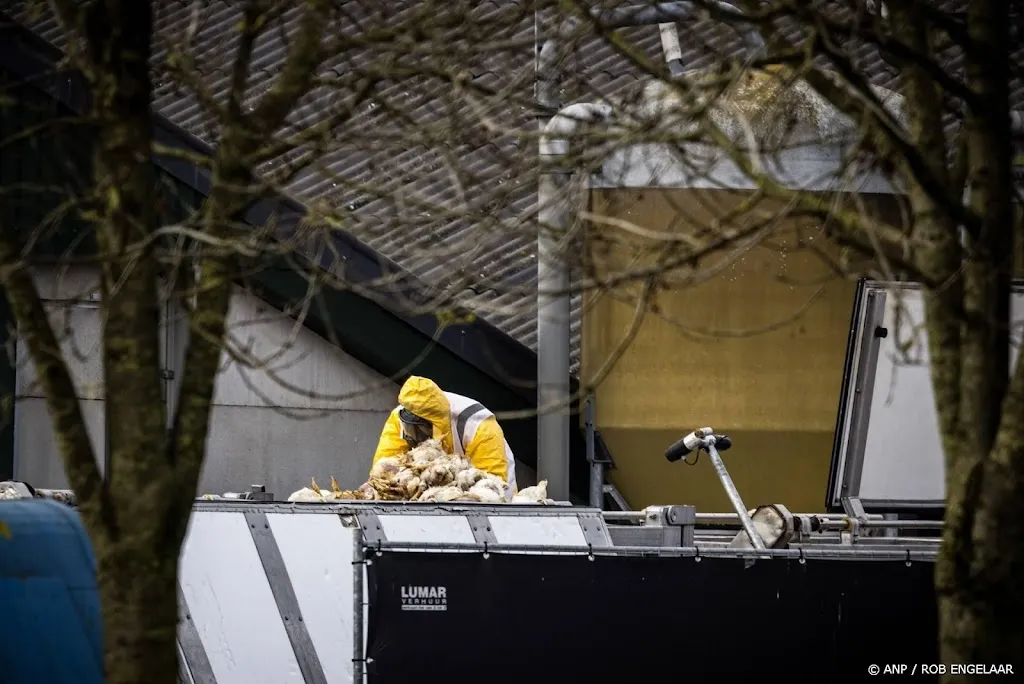 Deskundigengroep dierziekten maakt zich zorgen over vogelgriep