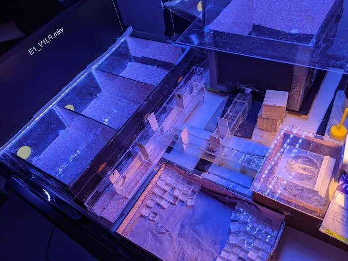 Low-Res_Apparatus used in the experiment