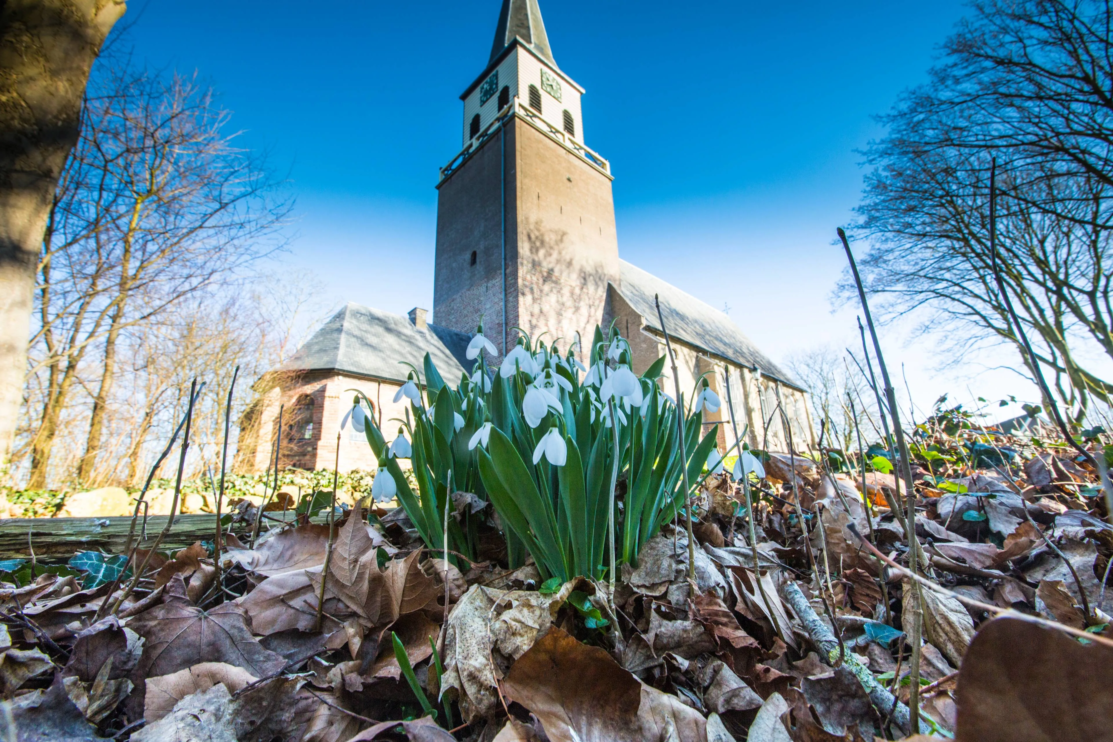 shutterstock_1359869207