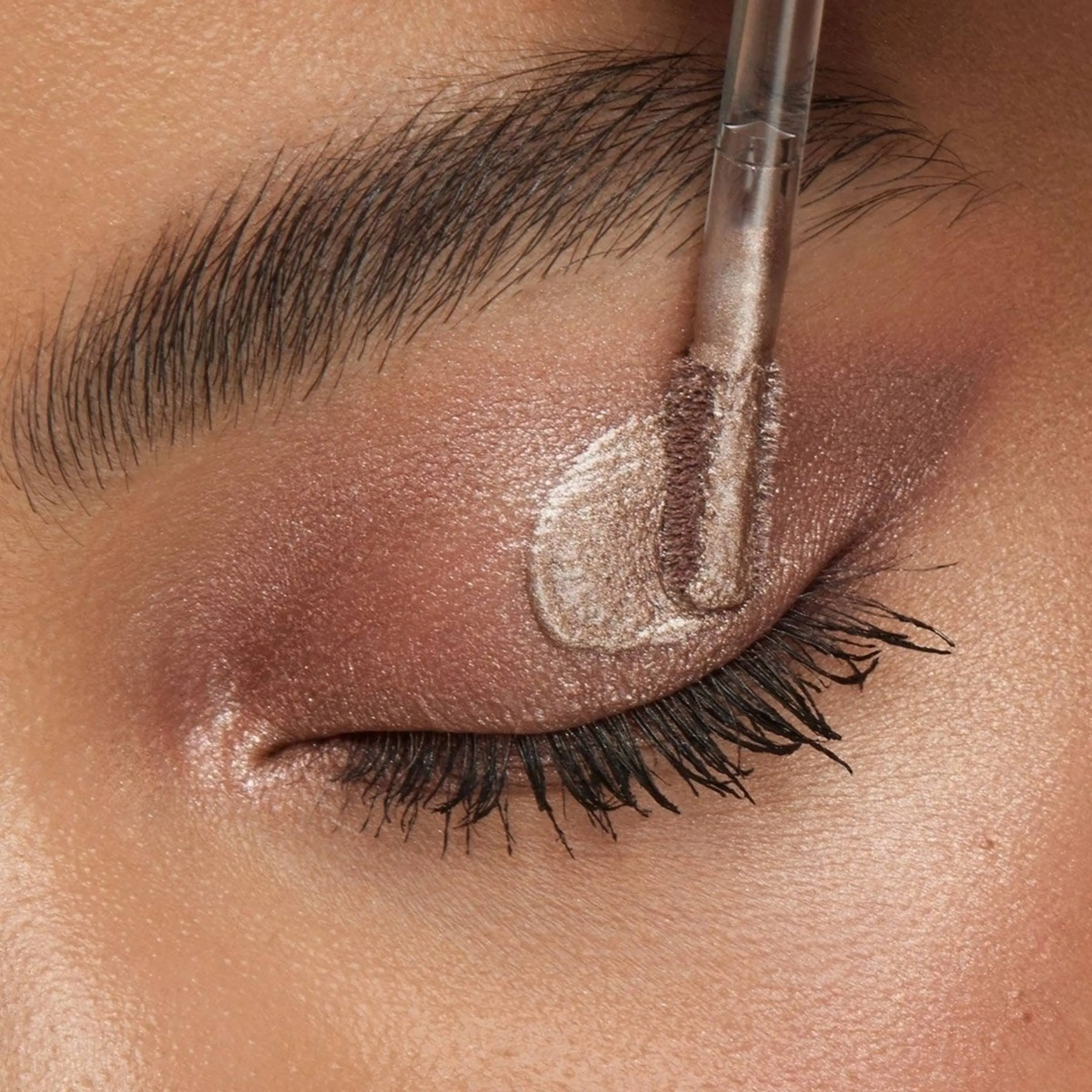 shutterstock_2577832715