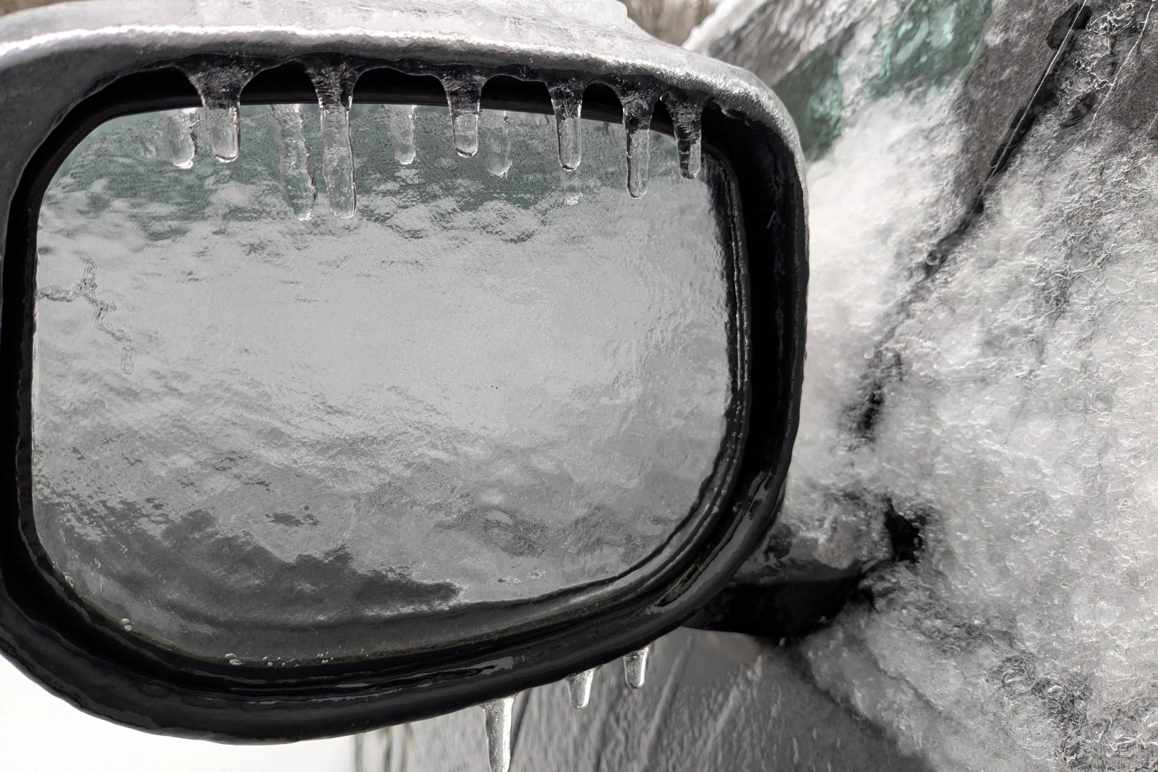 shutterstock_2587089047