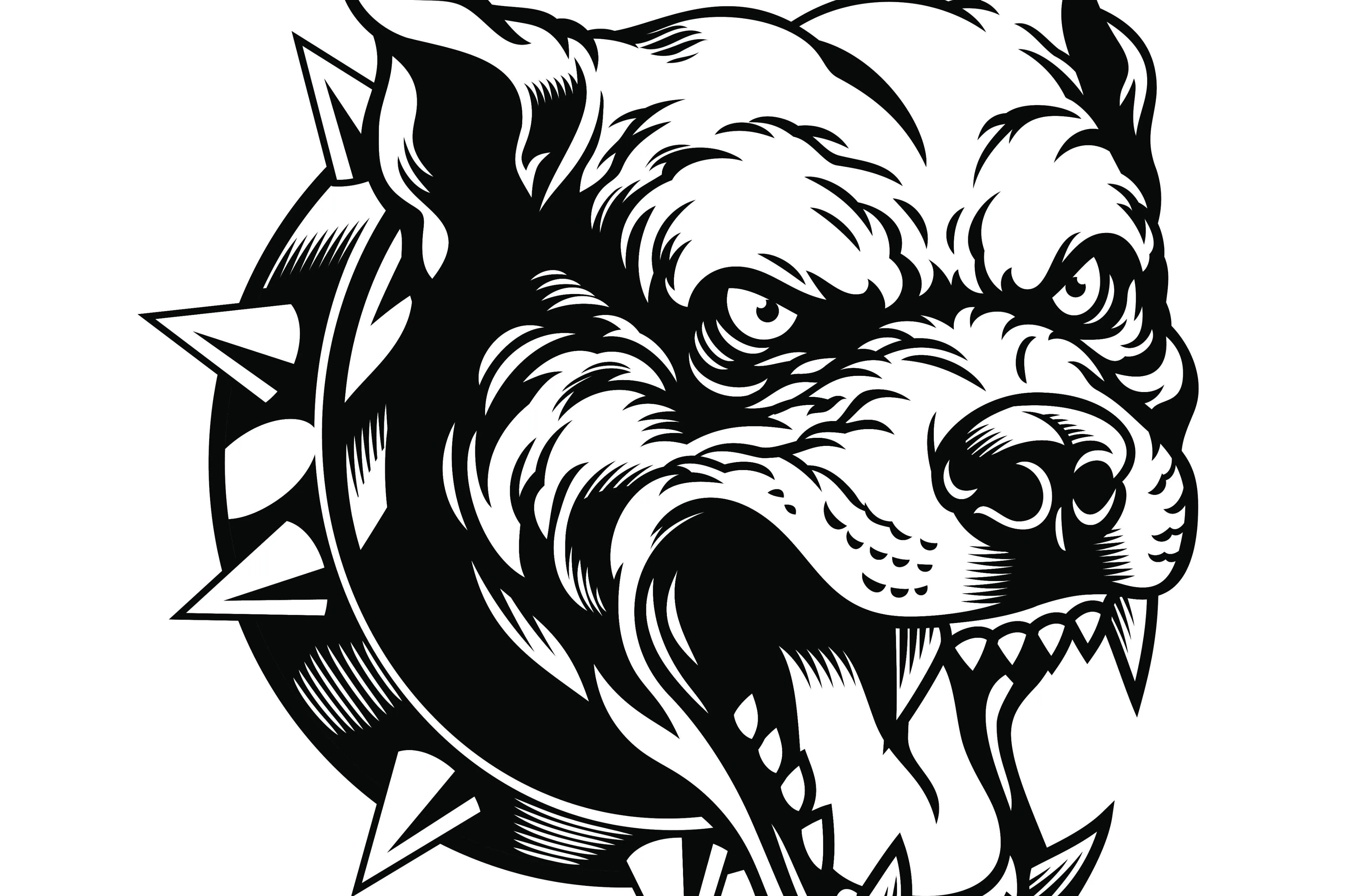 shutterstock_2656052245