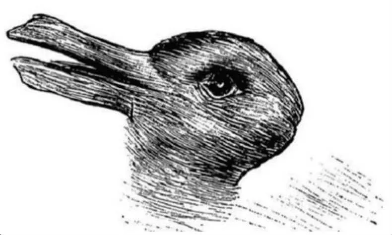 Eend of konijn? Wat je ziet in dit plaatje zegt veel over je