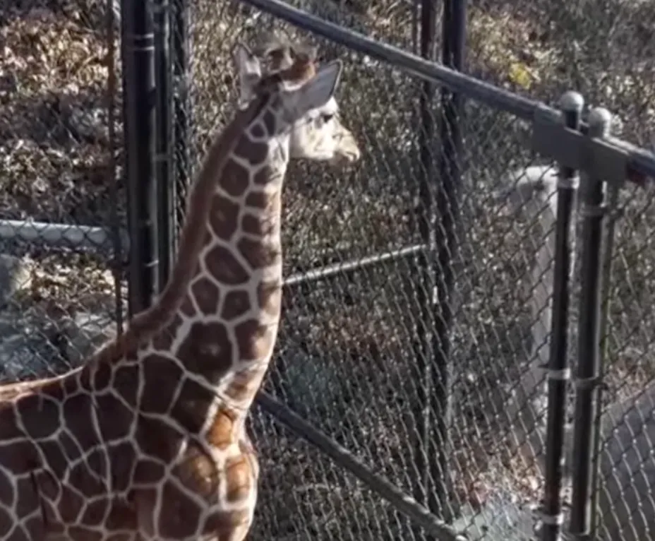 Scherm­afbeelding 2026-02-20 om 07.52.55