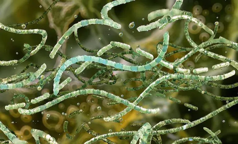 SRLN2ICMMBGBDI6IVYIXUNX3BQ