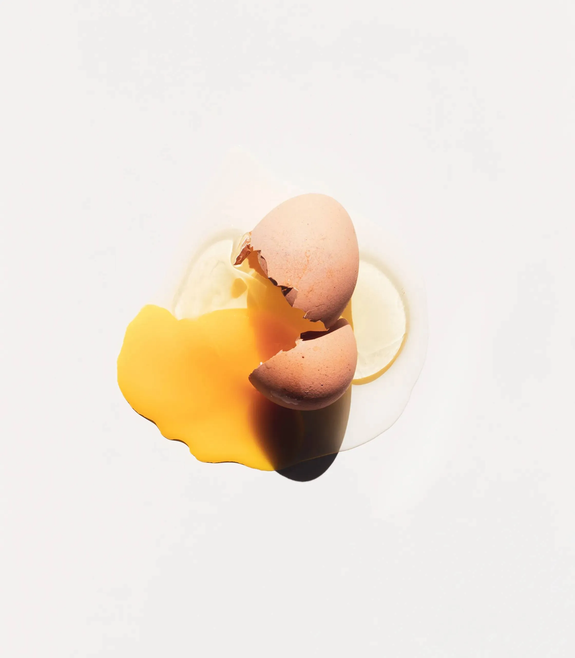 AdobeStock_444103068 (1)