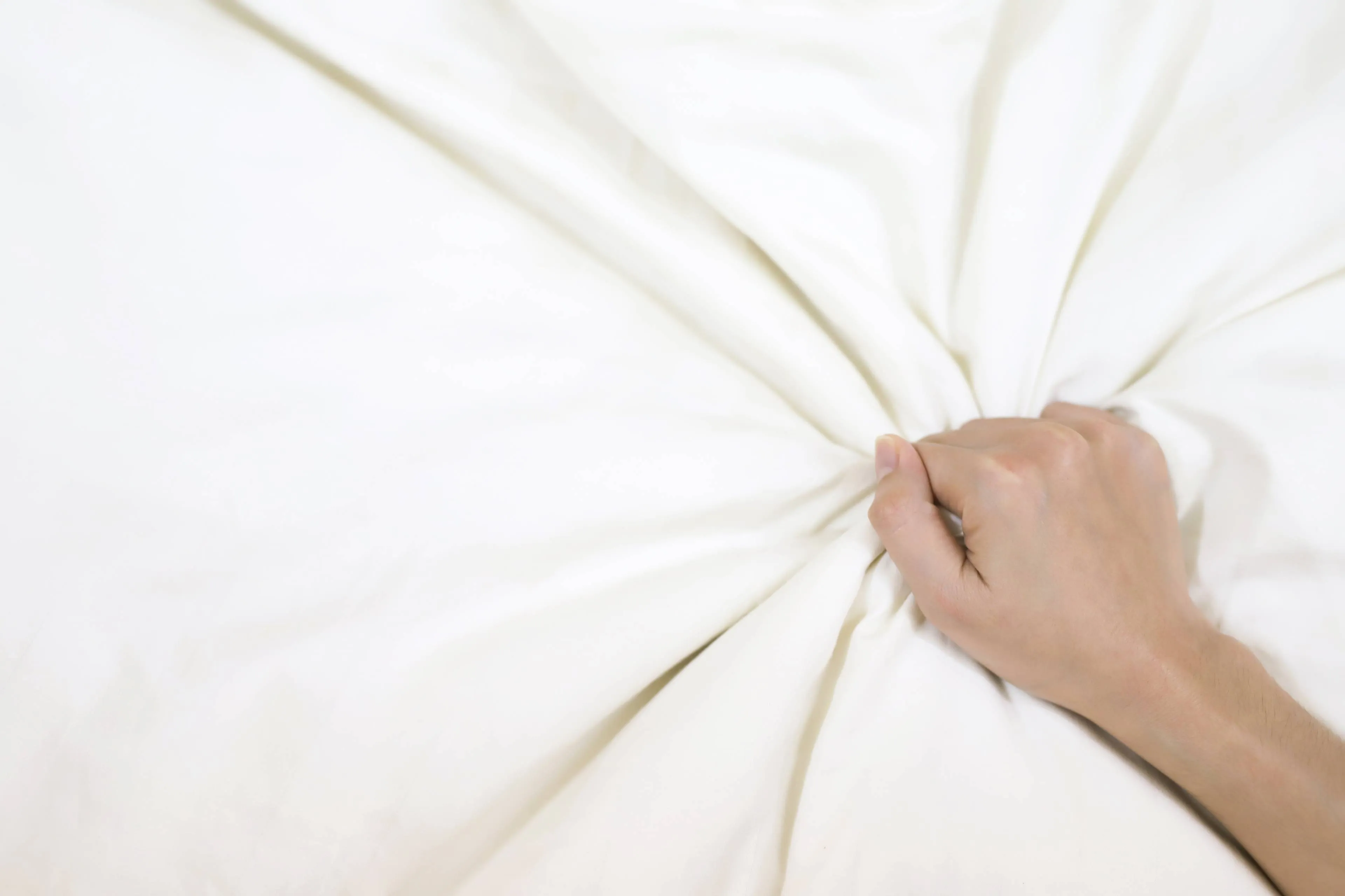 shutterstock_2444784309