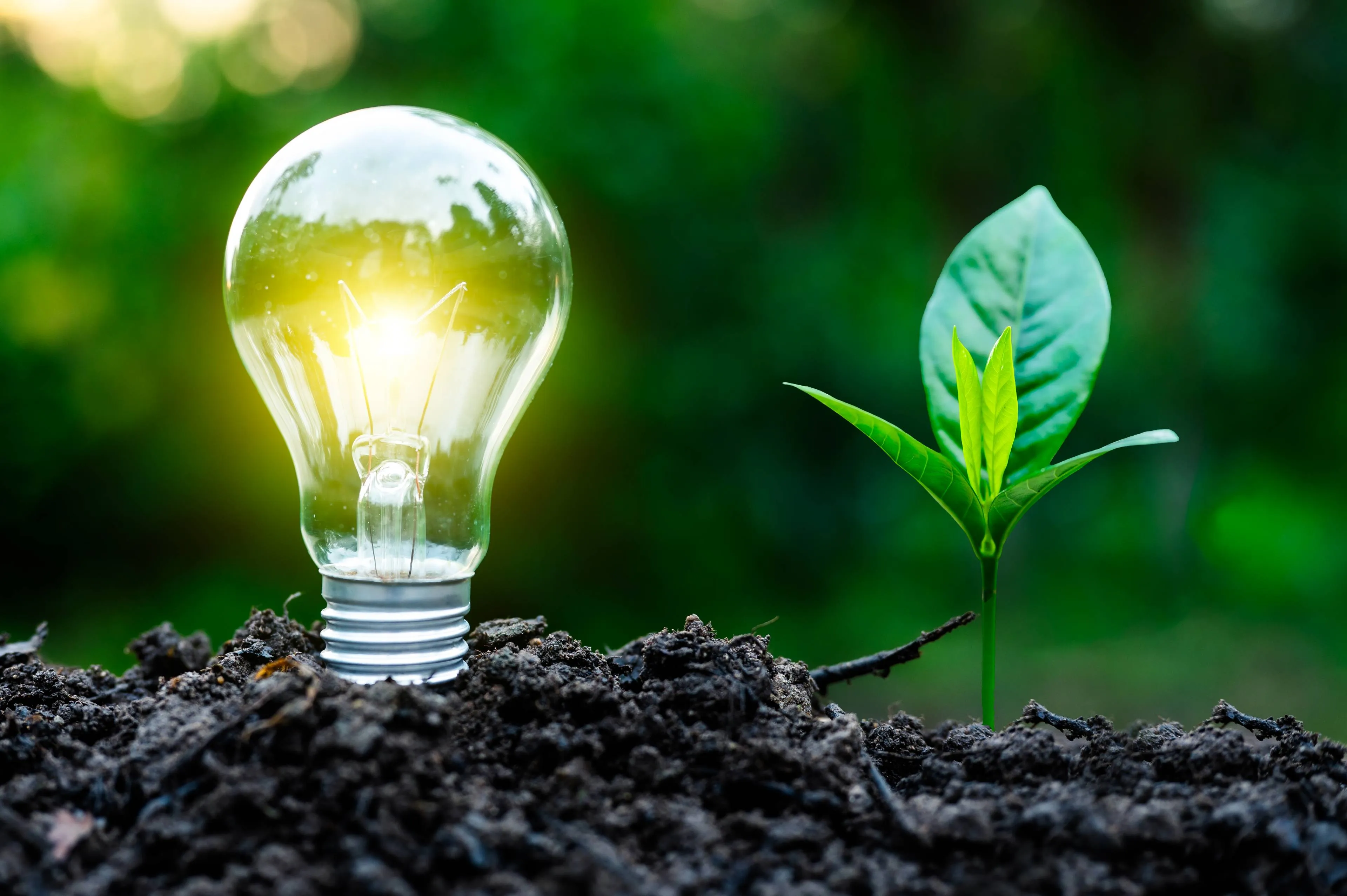 shutterstock_2731695823