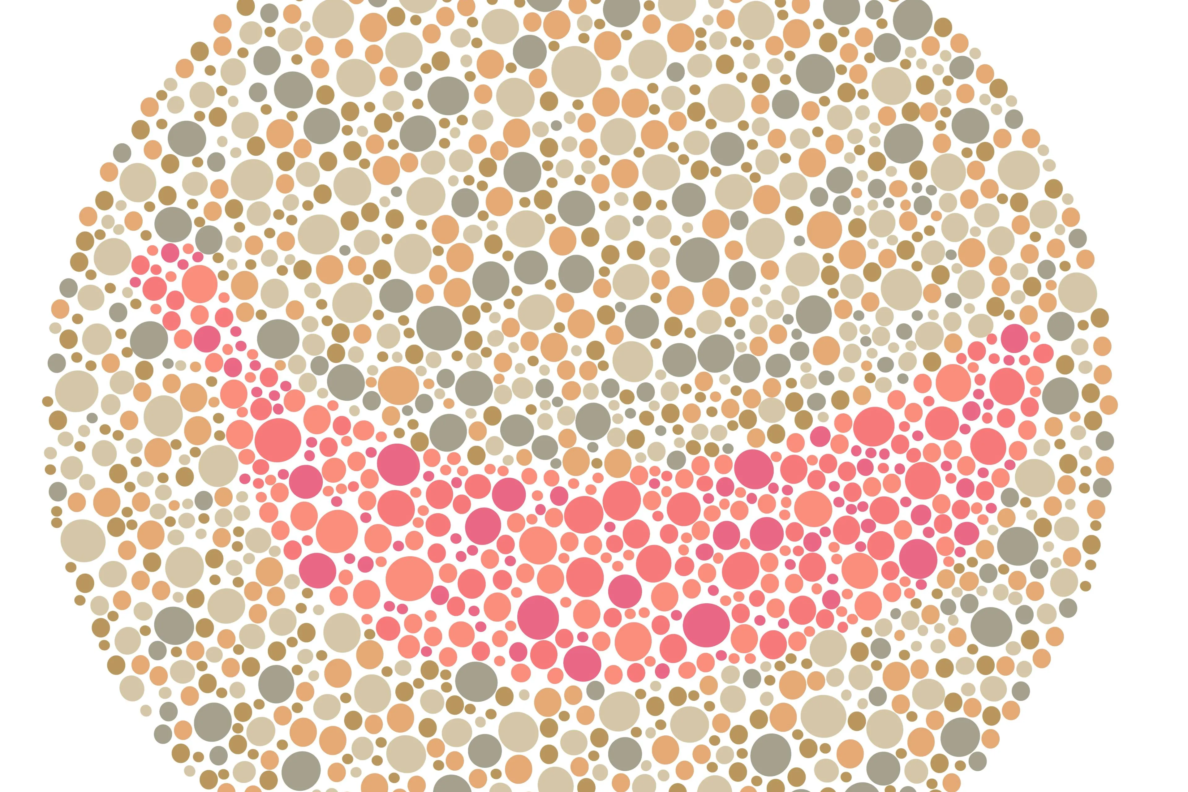 shutterstock_2640965565