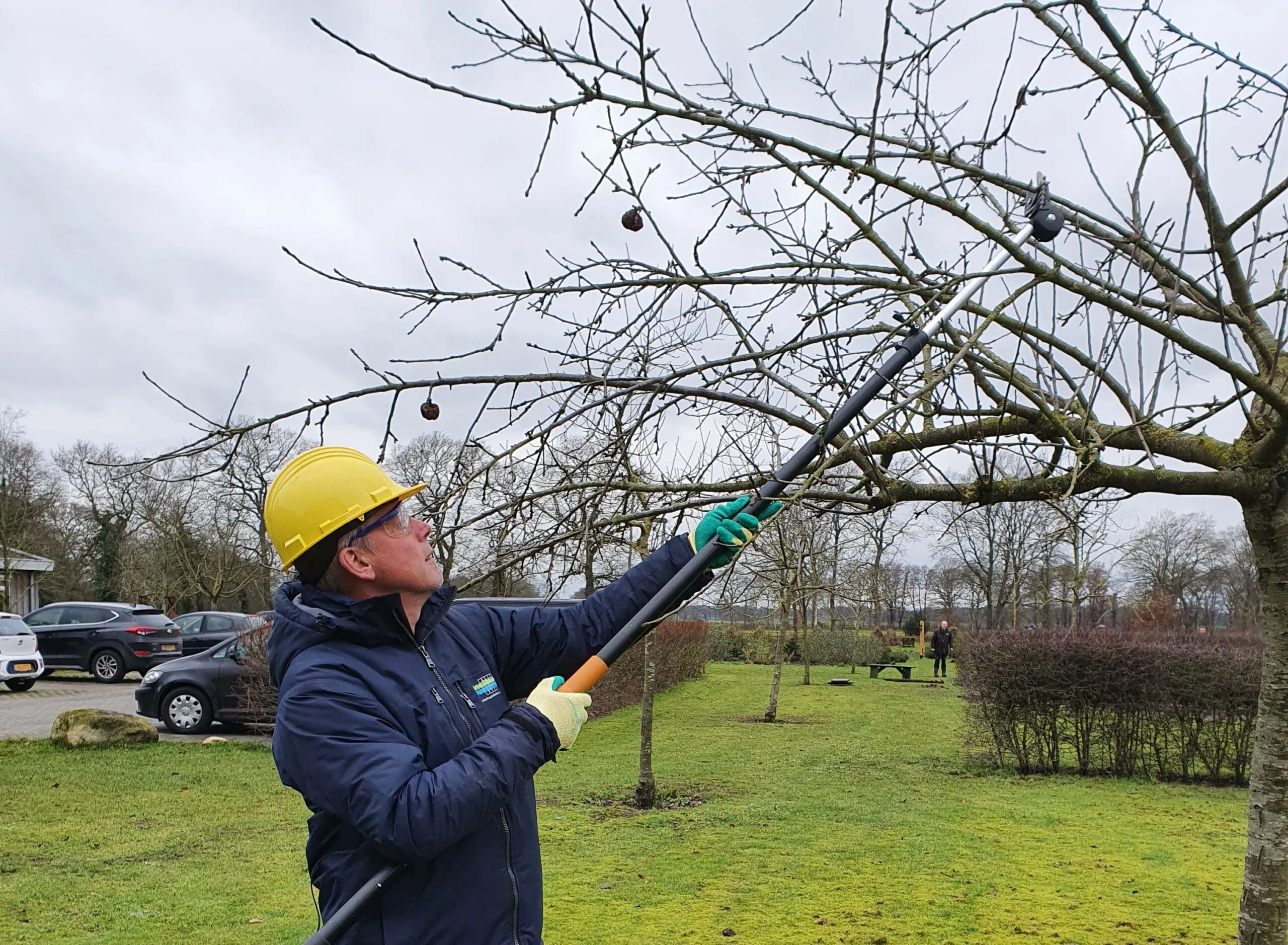Landschapsbeheer Drenthe houdt cursus over snoeien van fruitbomen
