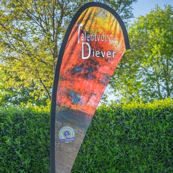 diever kunstwandeling talentvol diever