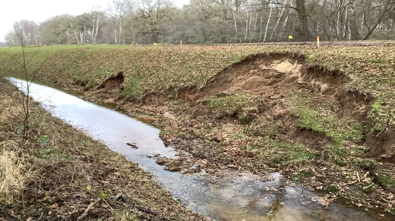 Dijken in WDOD-regio Drenthe en Overijssel doorstaan drukke tijden goed