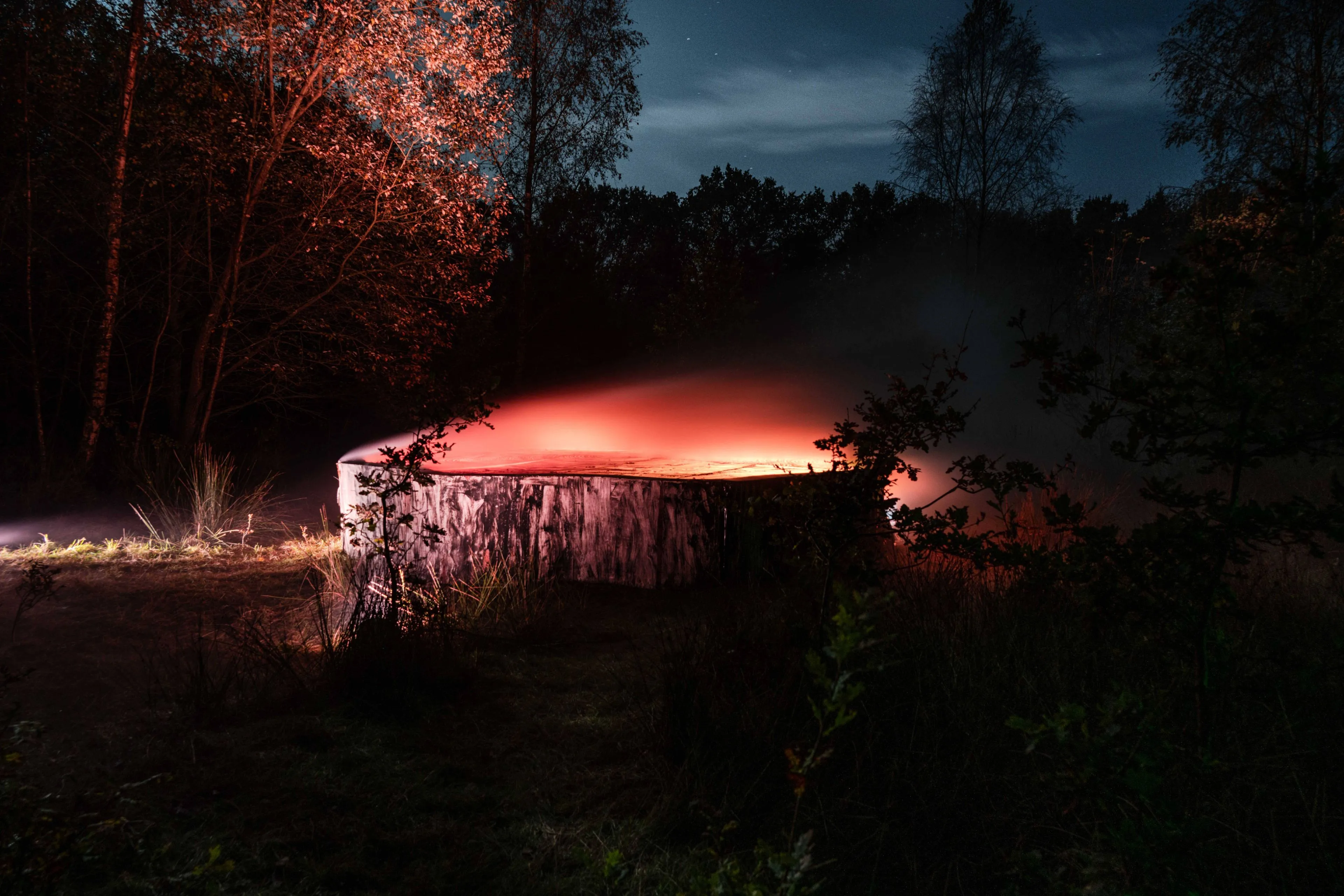Roestvrij theater komt met vernieuwd ‘Schitterende Bos’