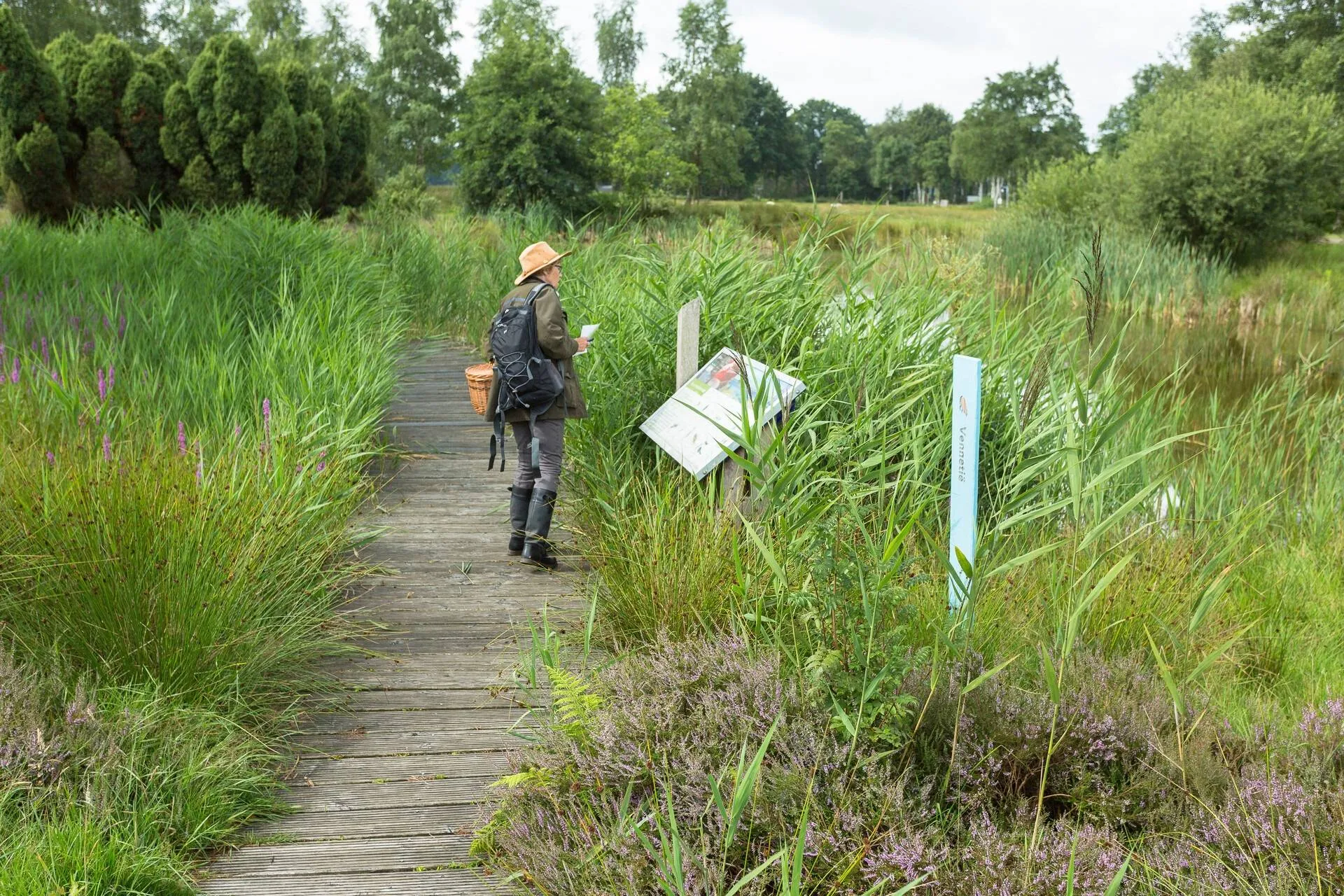 De handen kunnen uit de mouwen bij Bezoekerscentrum Dwingelderveld