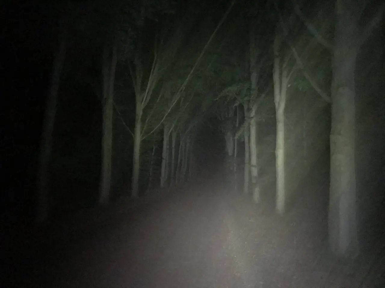 pn27092020 nachtfietser eursinge
