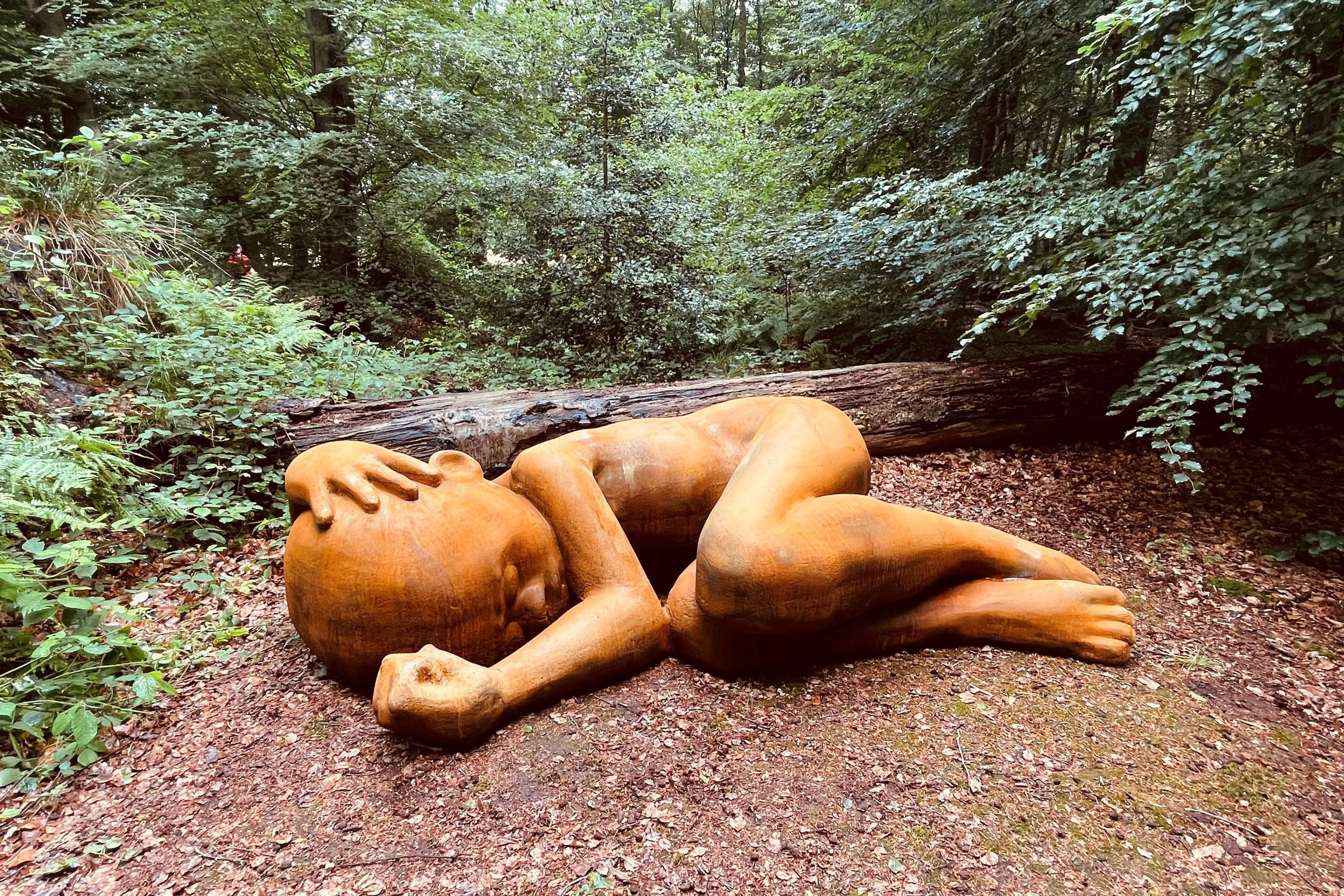 Hoogeveen Spaarbankbos Kunstwerk van Martha Veldthuis