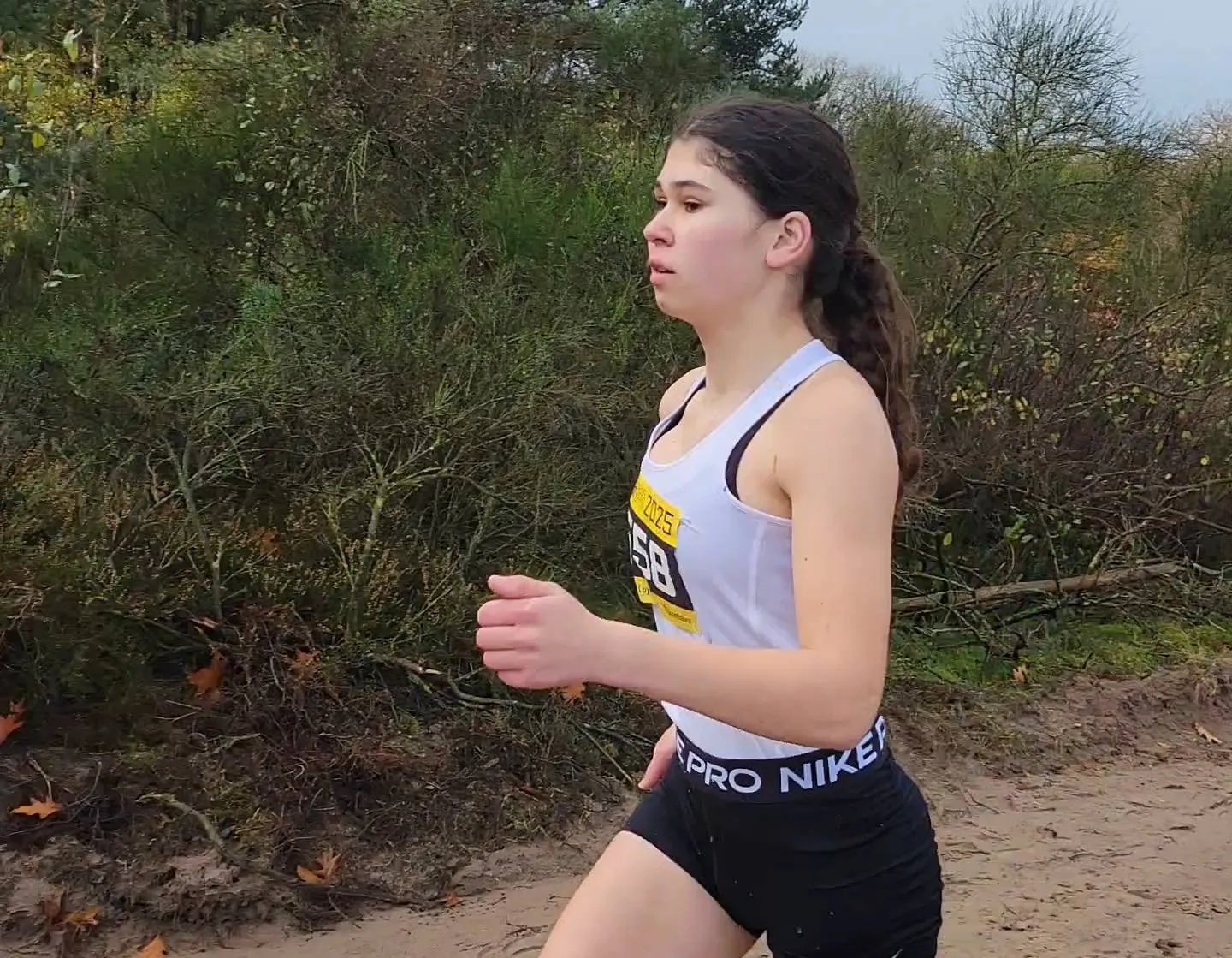 Dwingeloo Cross AVD2