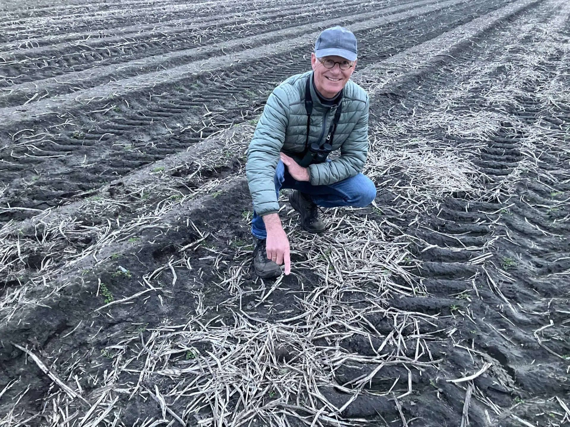 De Wijk Vinder Eerste kievitsei Drenthe
