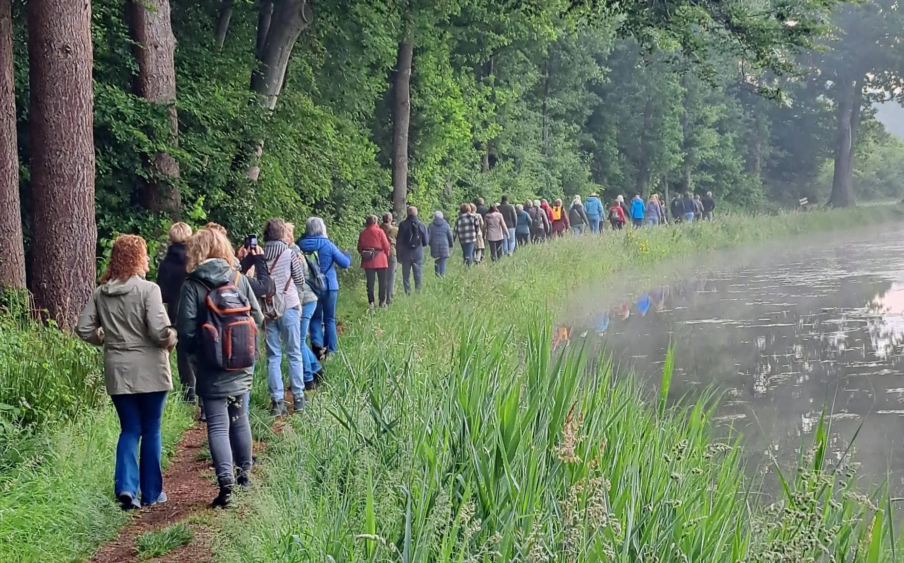 Echten Dauwtrappen
