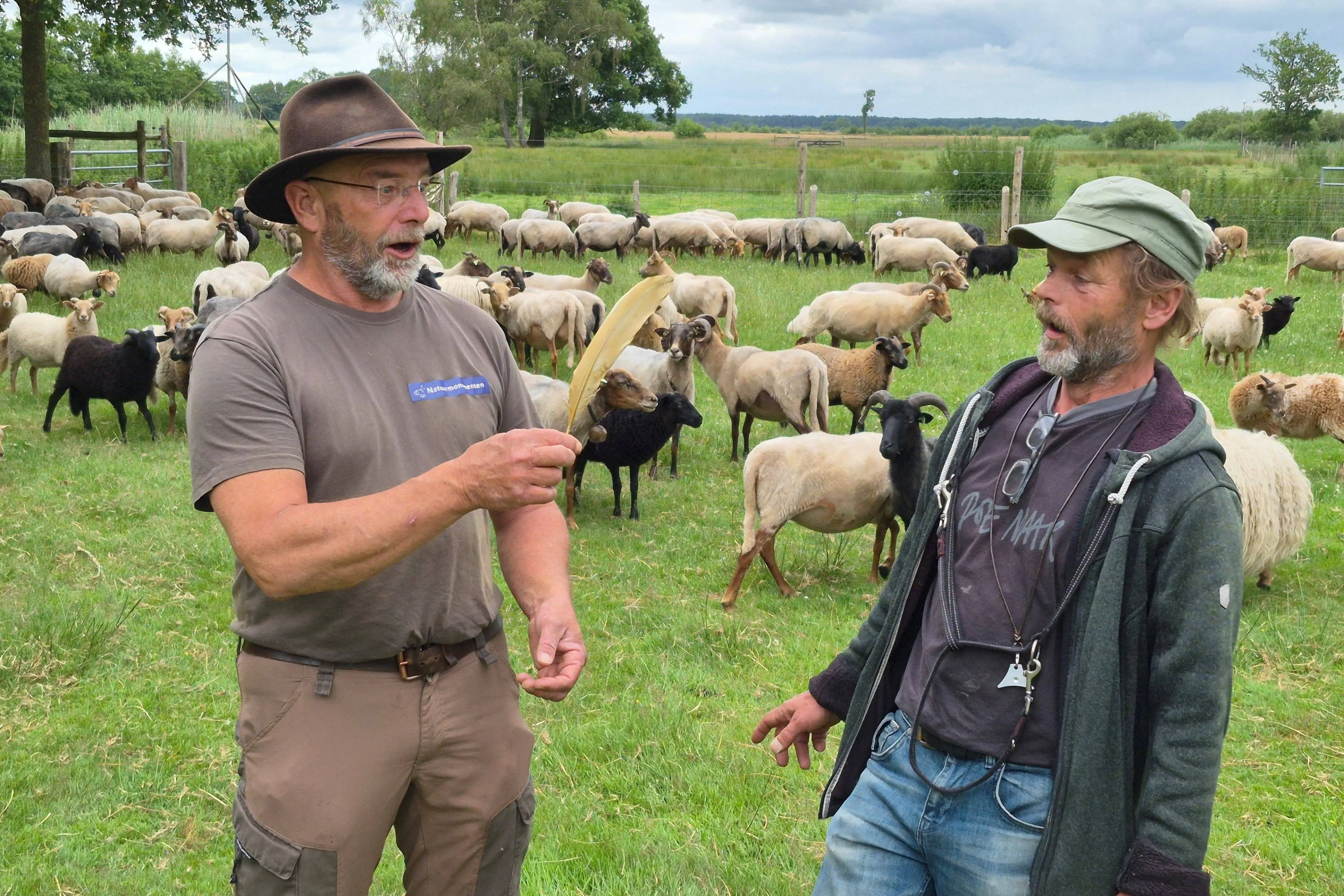 Herders vinden gouden veer, Dwingeloo maakt zich op voor vreemde vogels