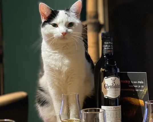 jari en whisky