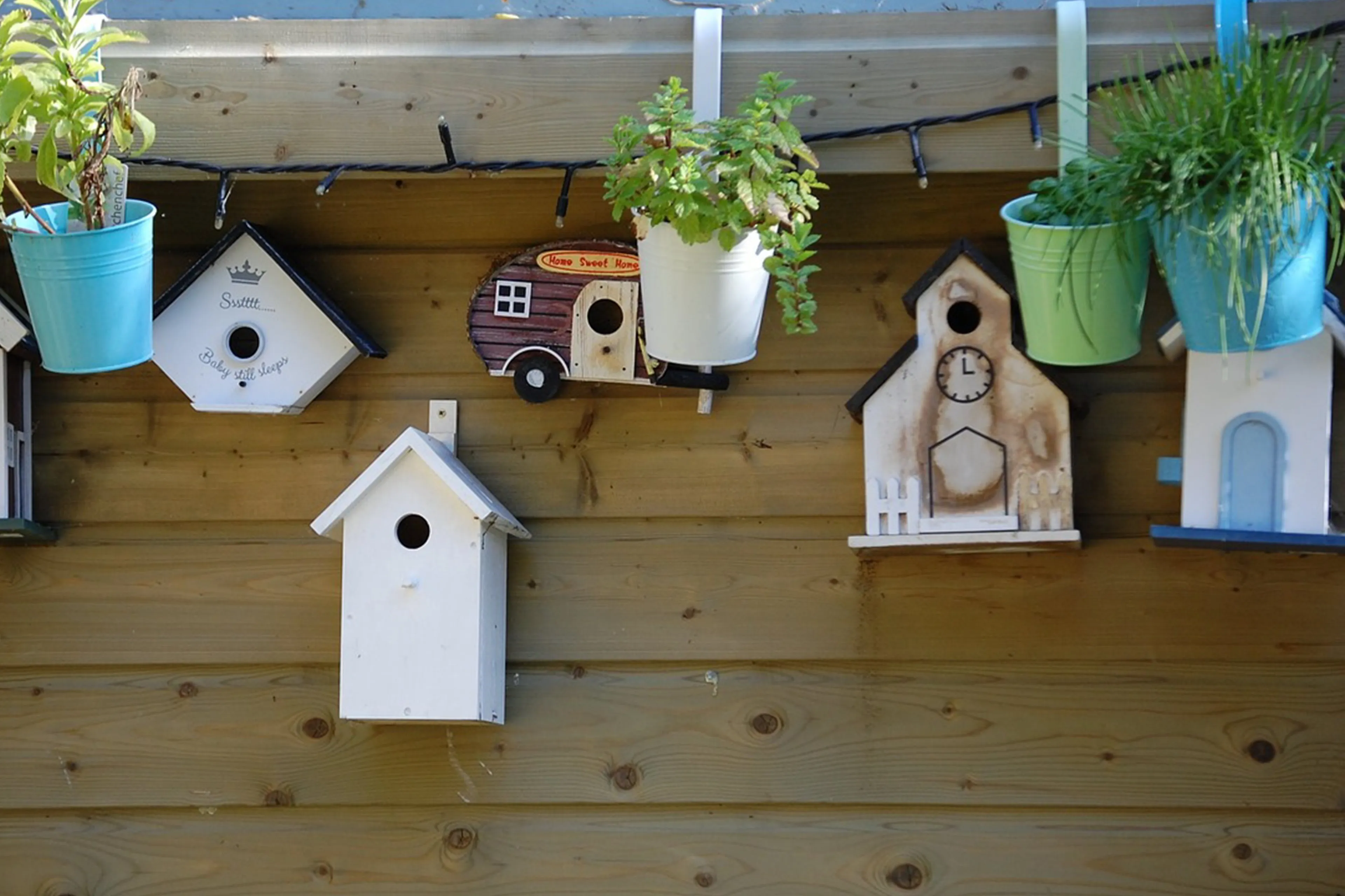 birdhouse