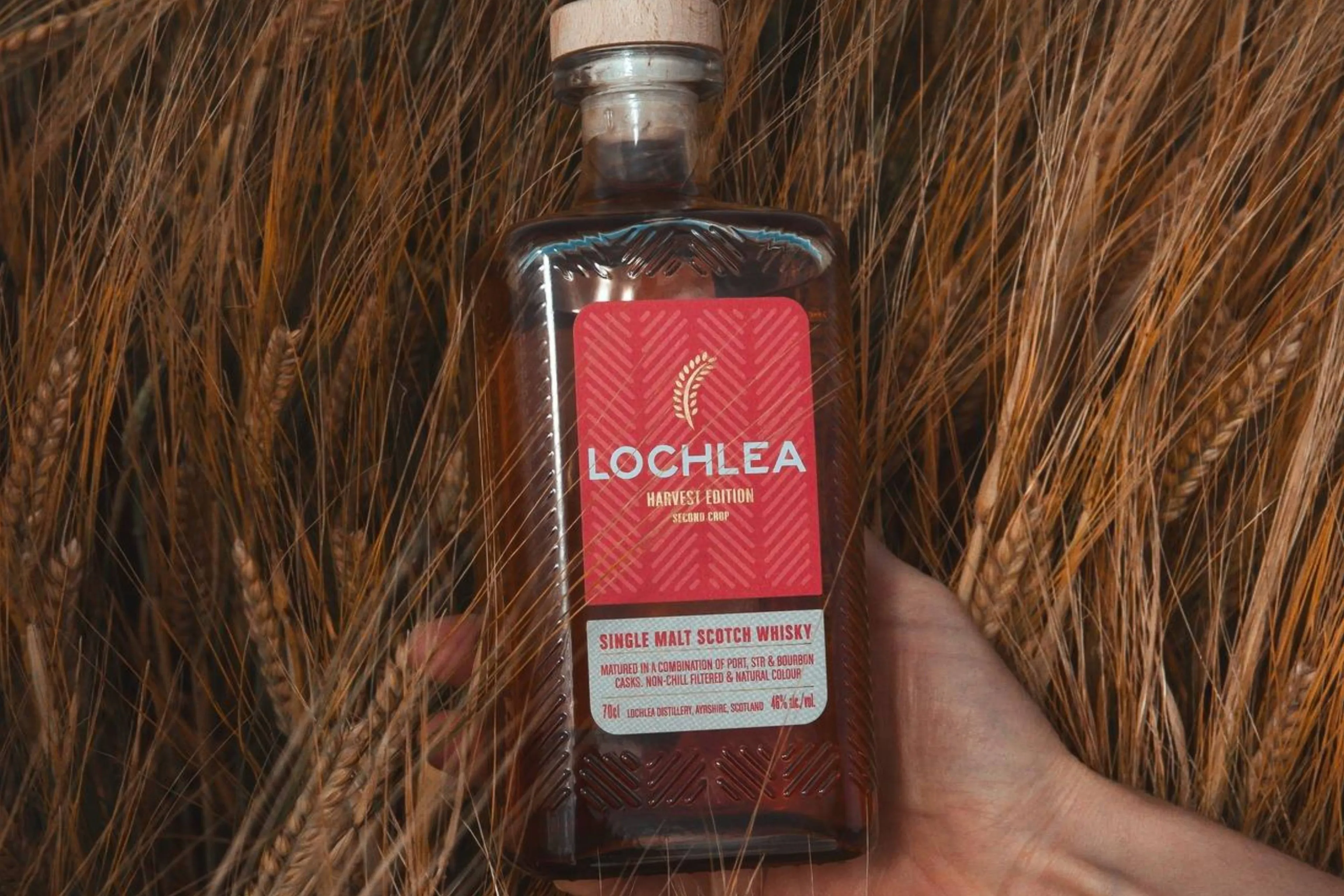 De oogst is binnen, tijd voor Lochlea Harvest Edition Second Crop